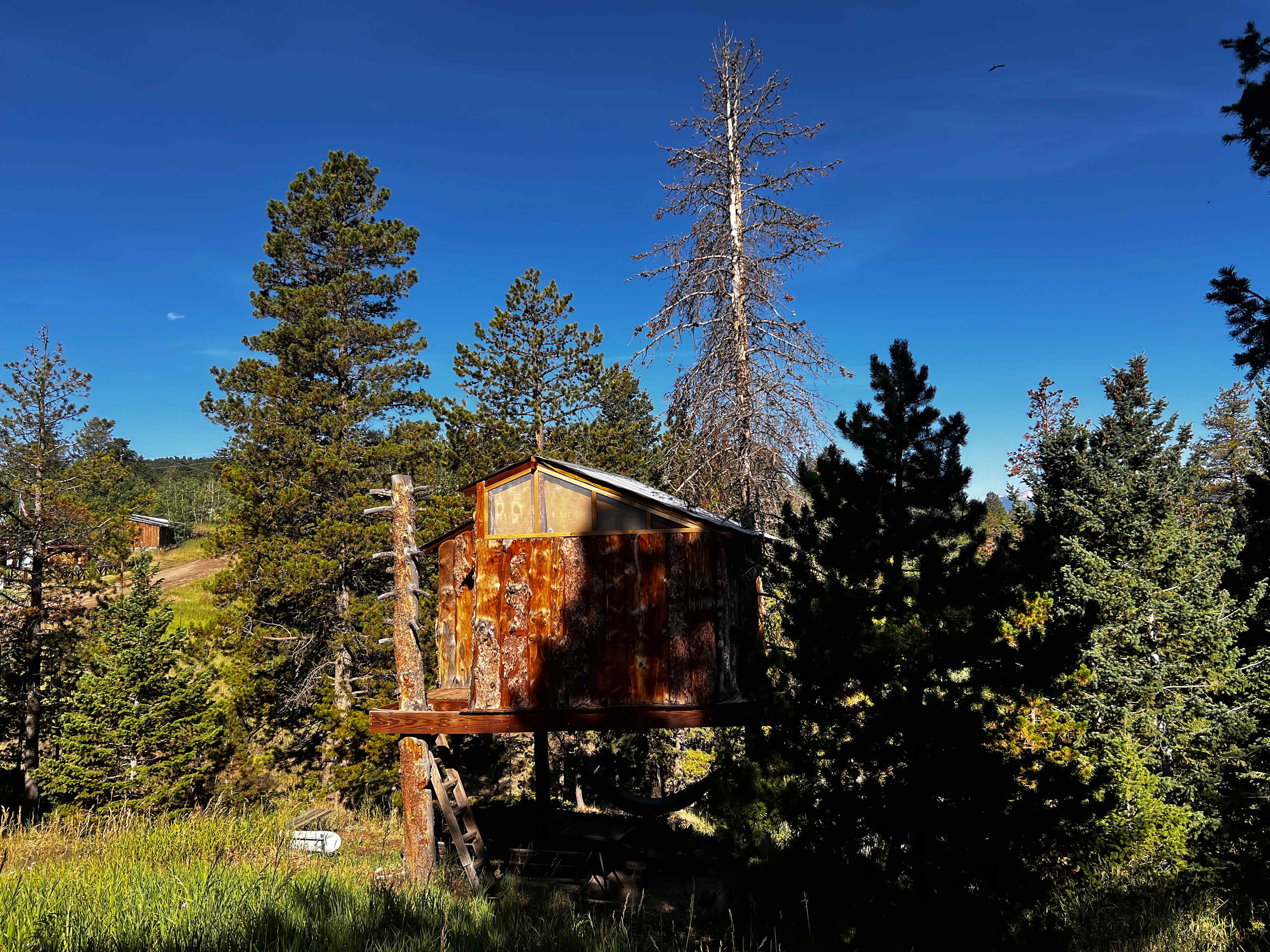 Gold Nugget Tree House + Cabin