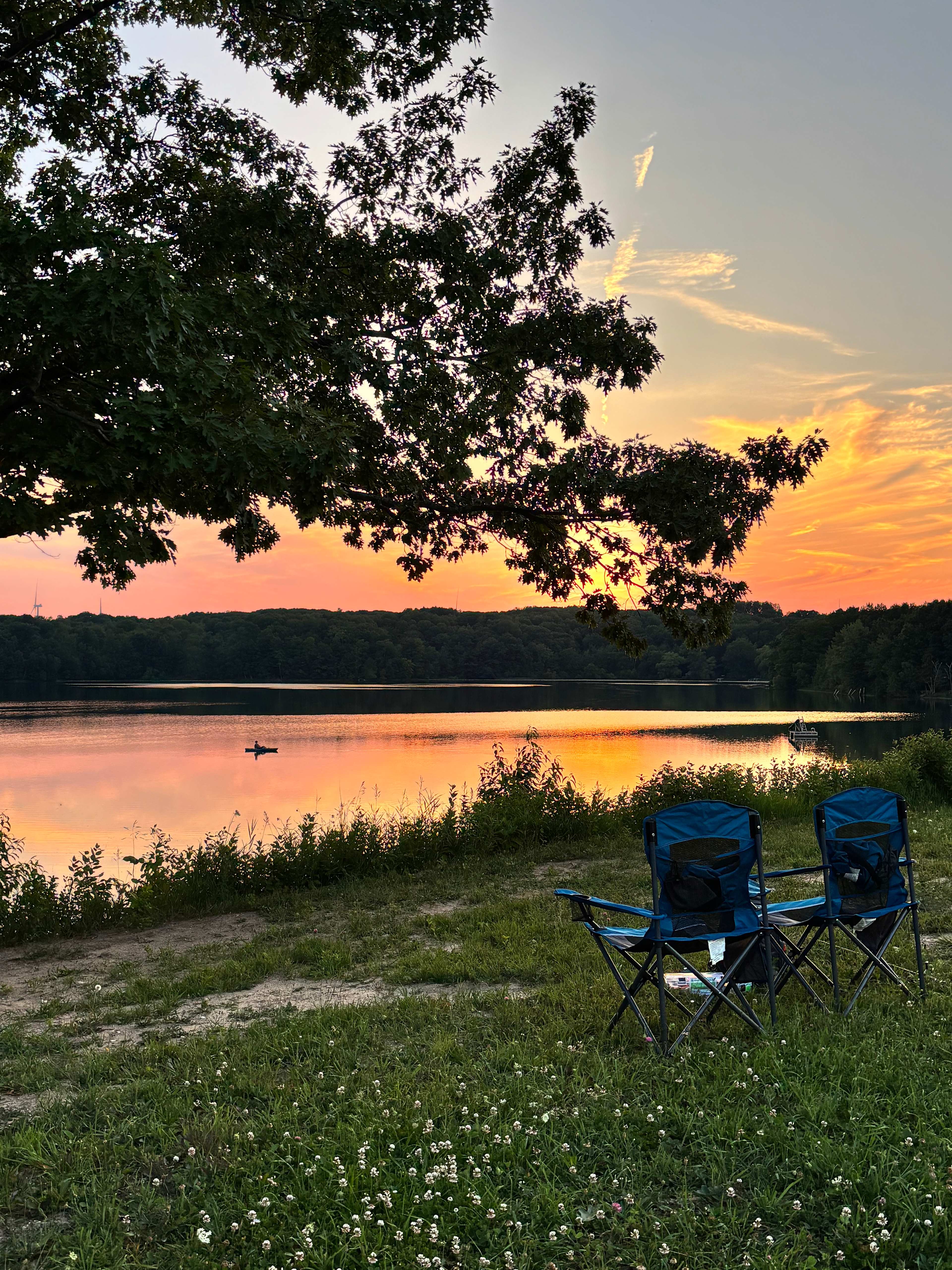 Oxbow Lake Oasis