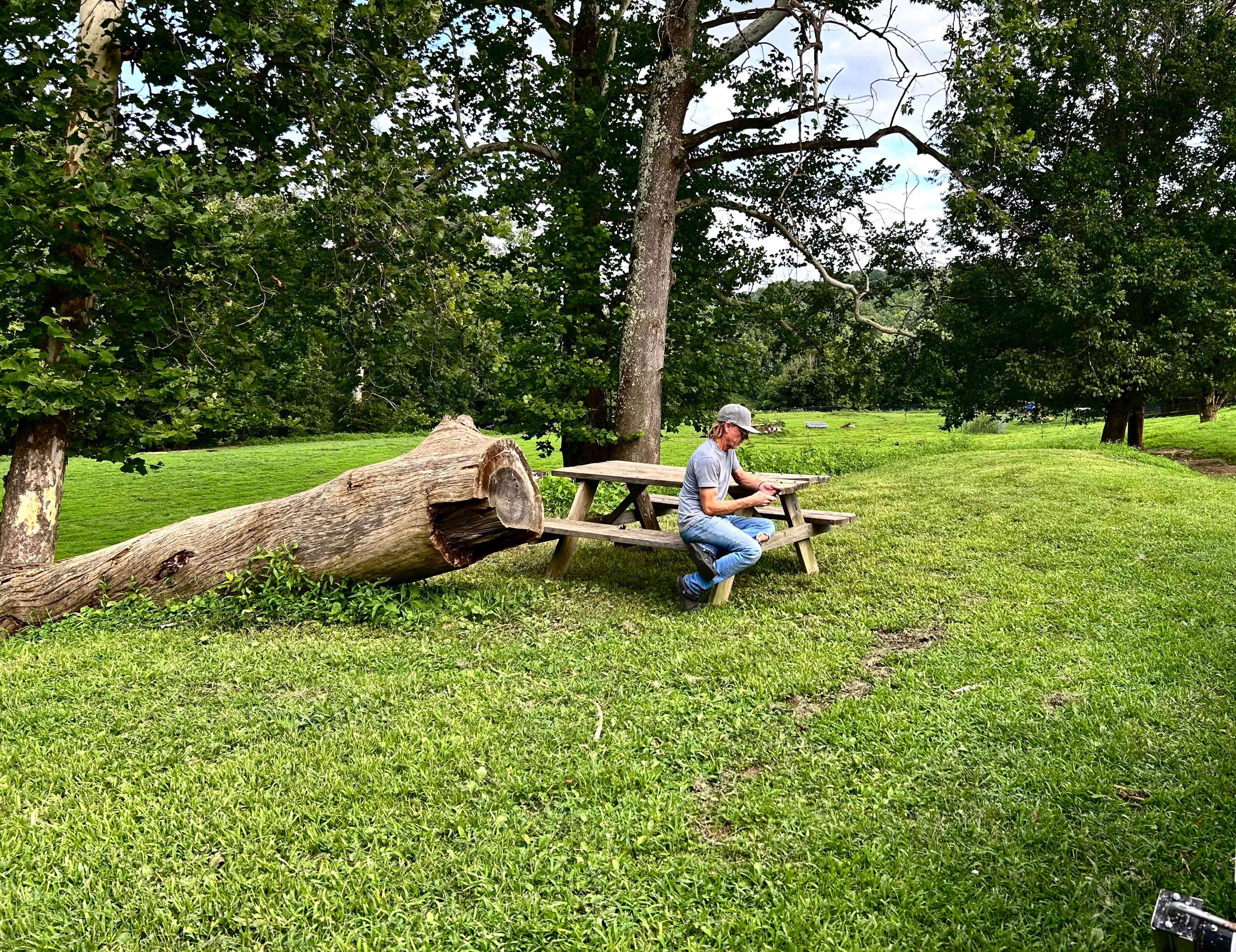 Wildcat Creek Farm in Tyrone