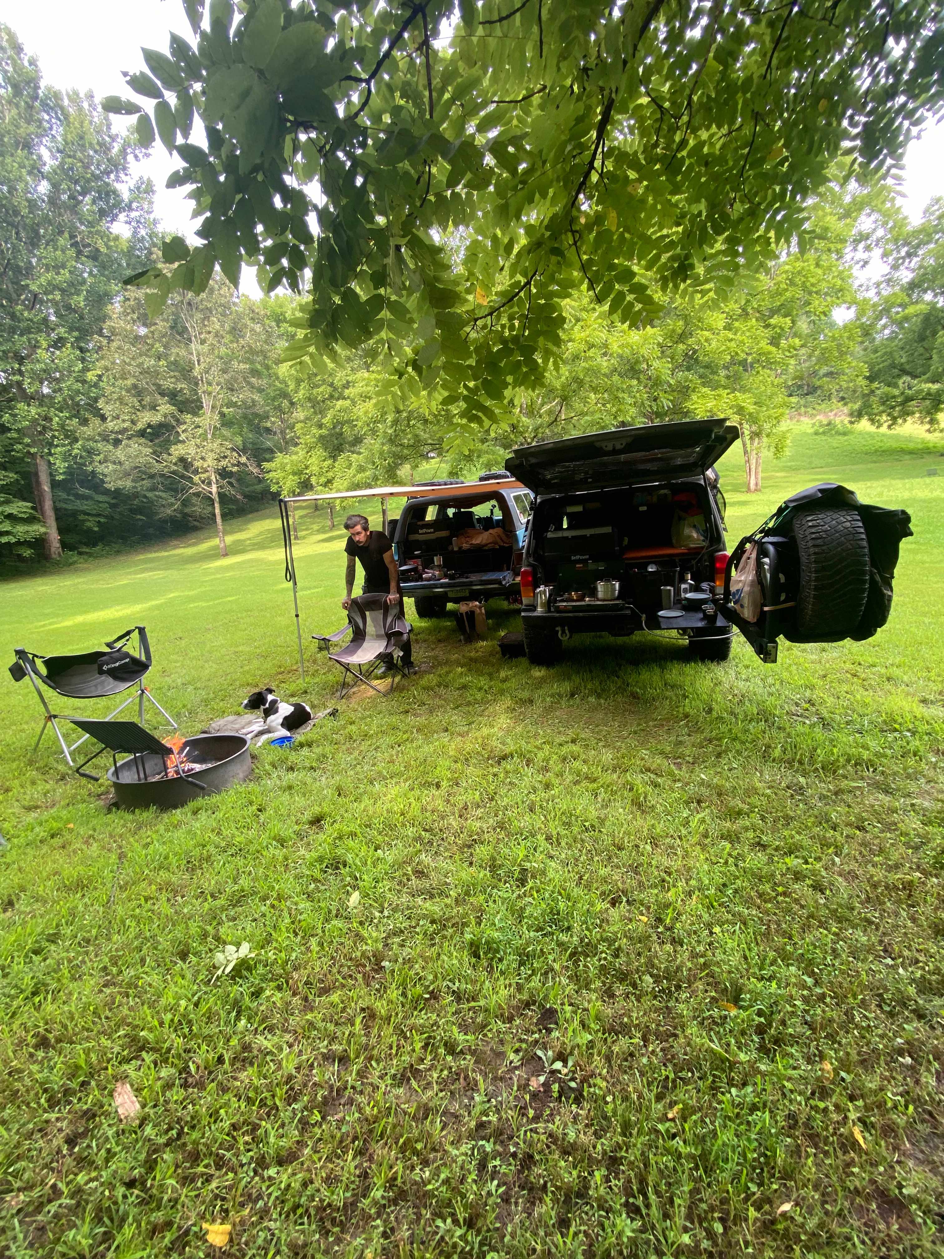 Picture of the site