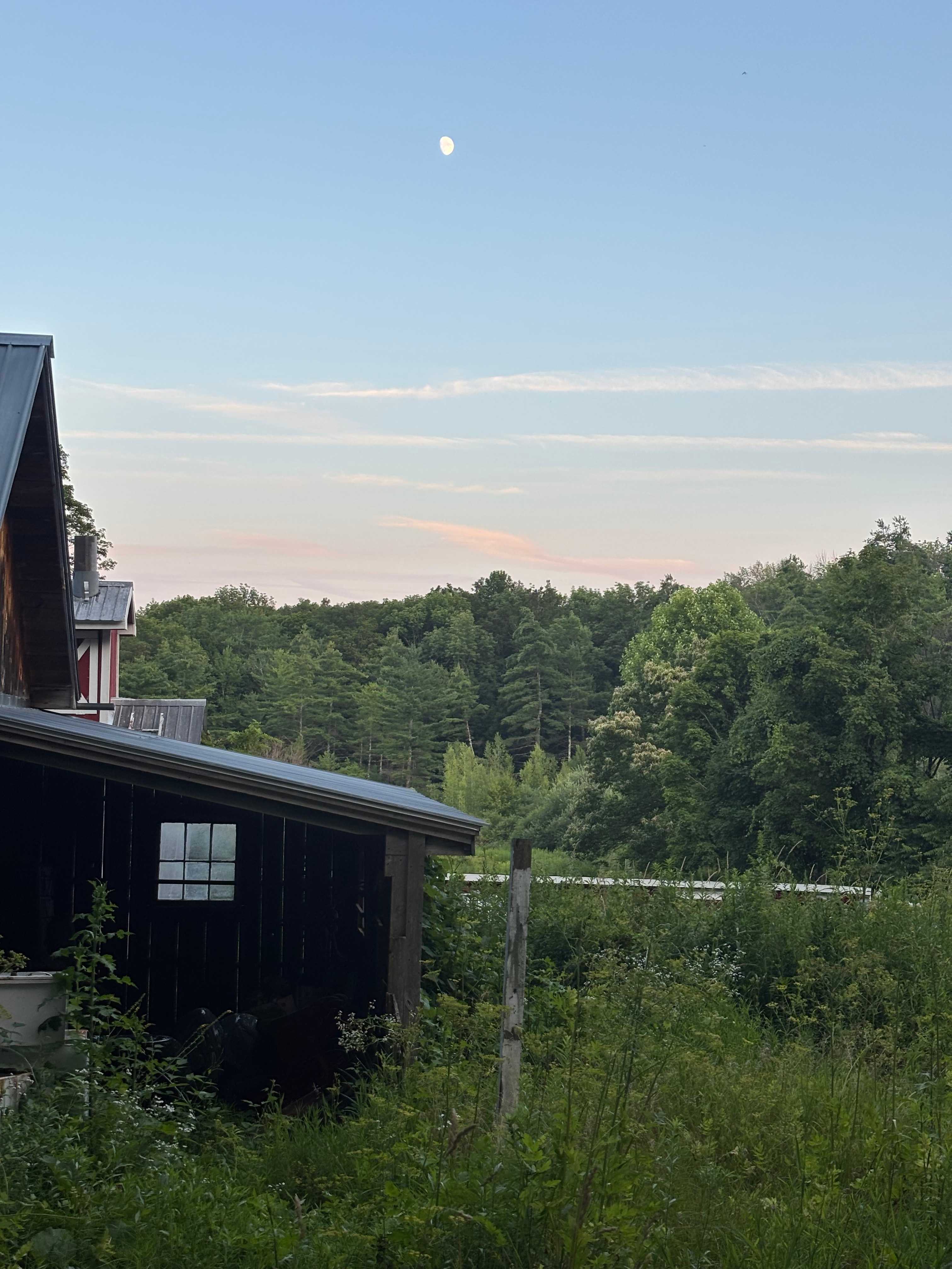 Timbertrail Farm