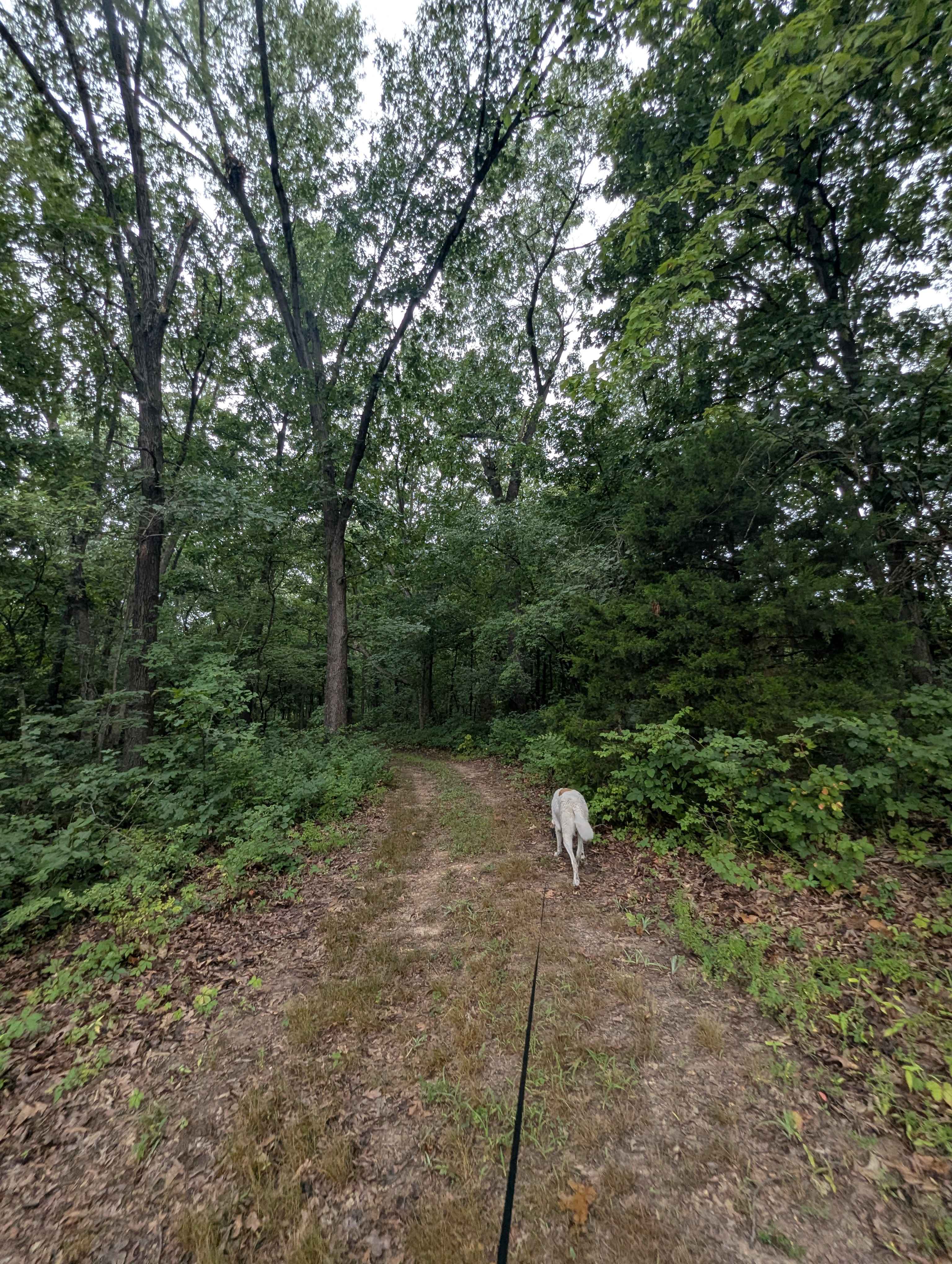 PeaceTree Farms