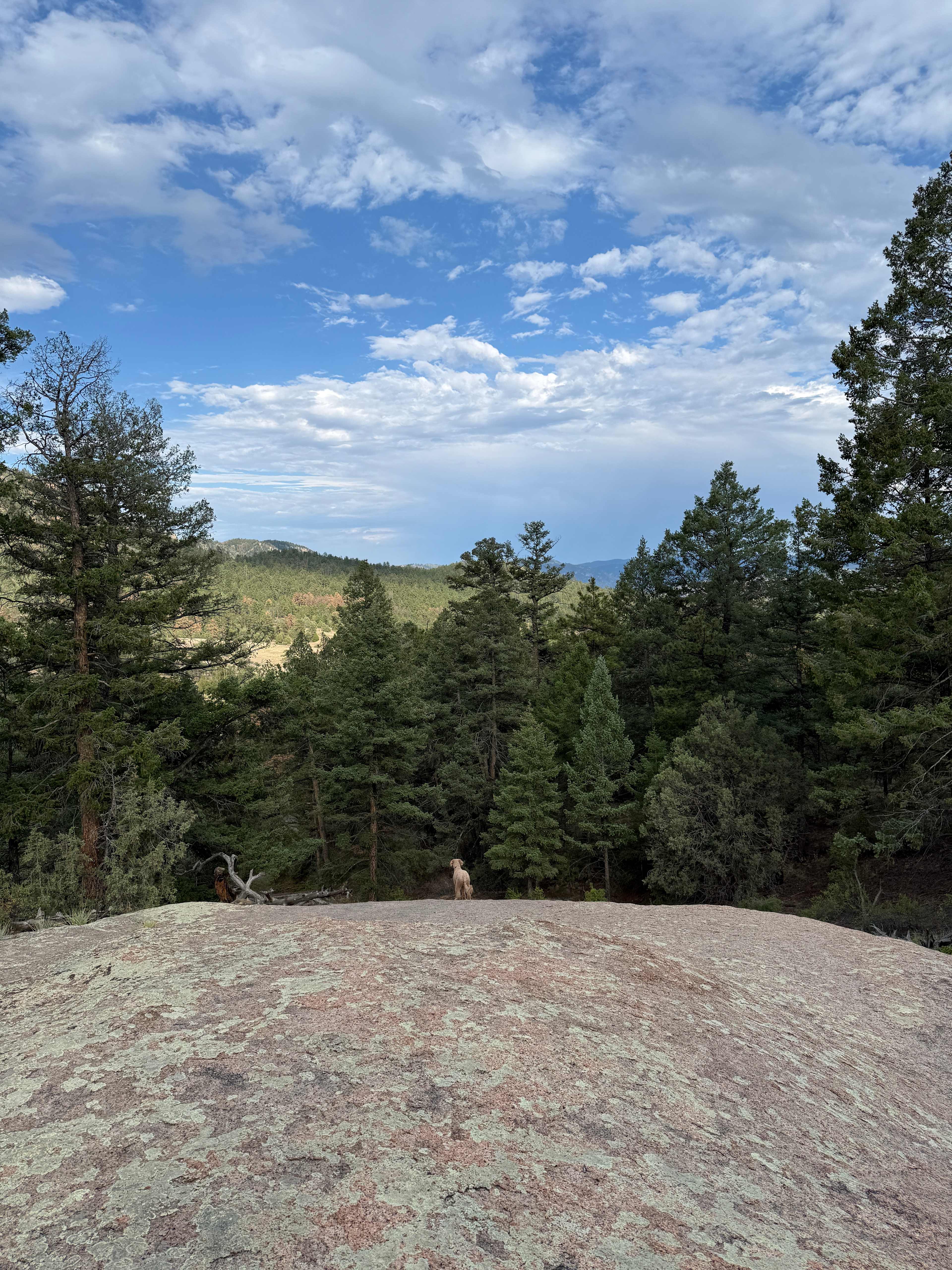Serenity in the Foothills