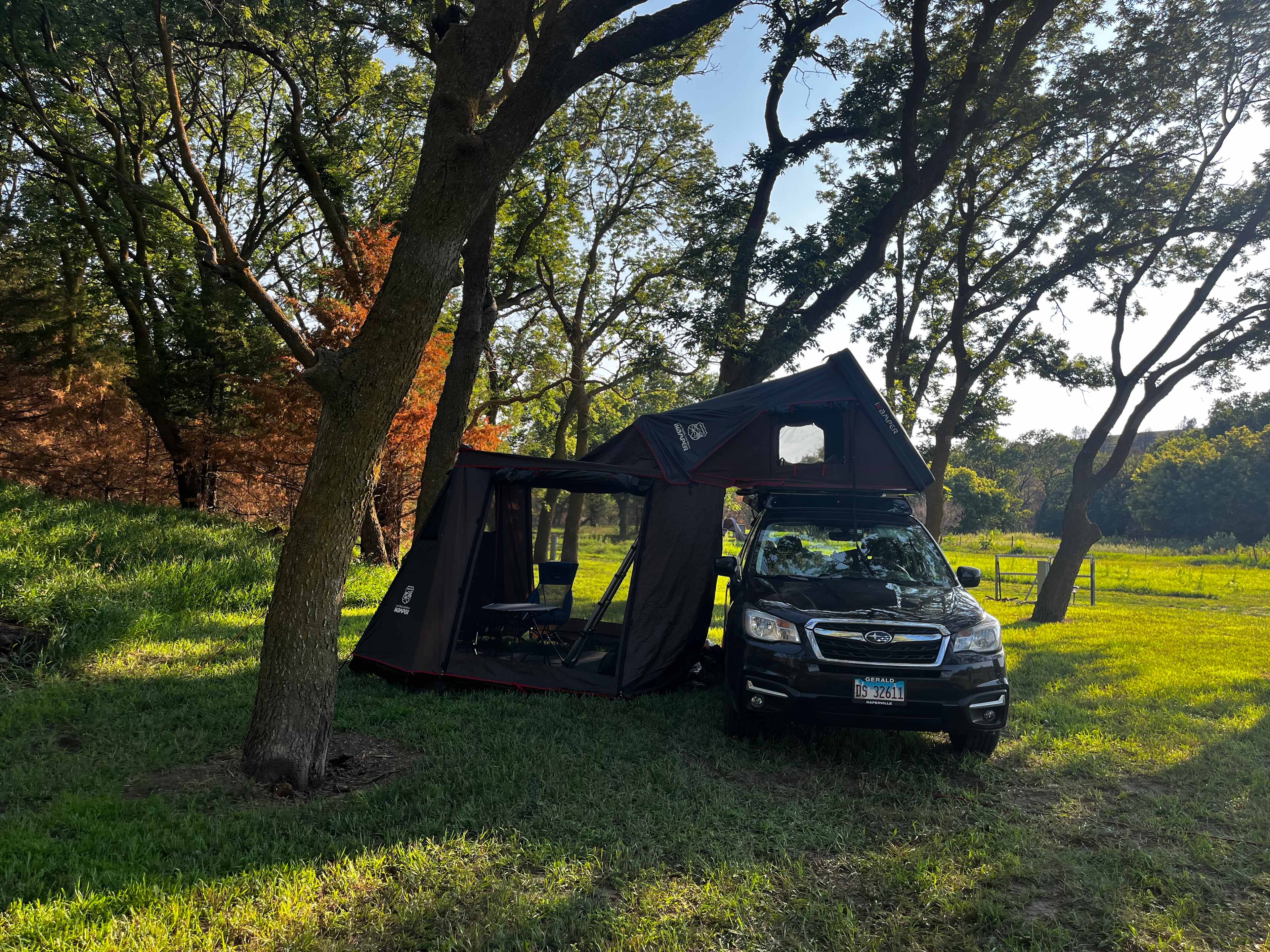 Potters Pasture