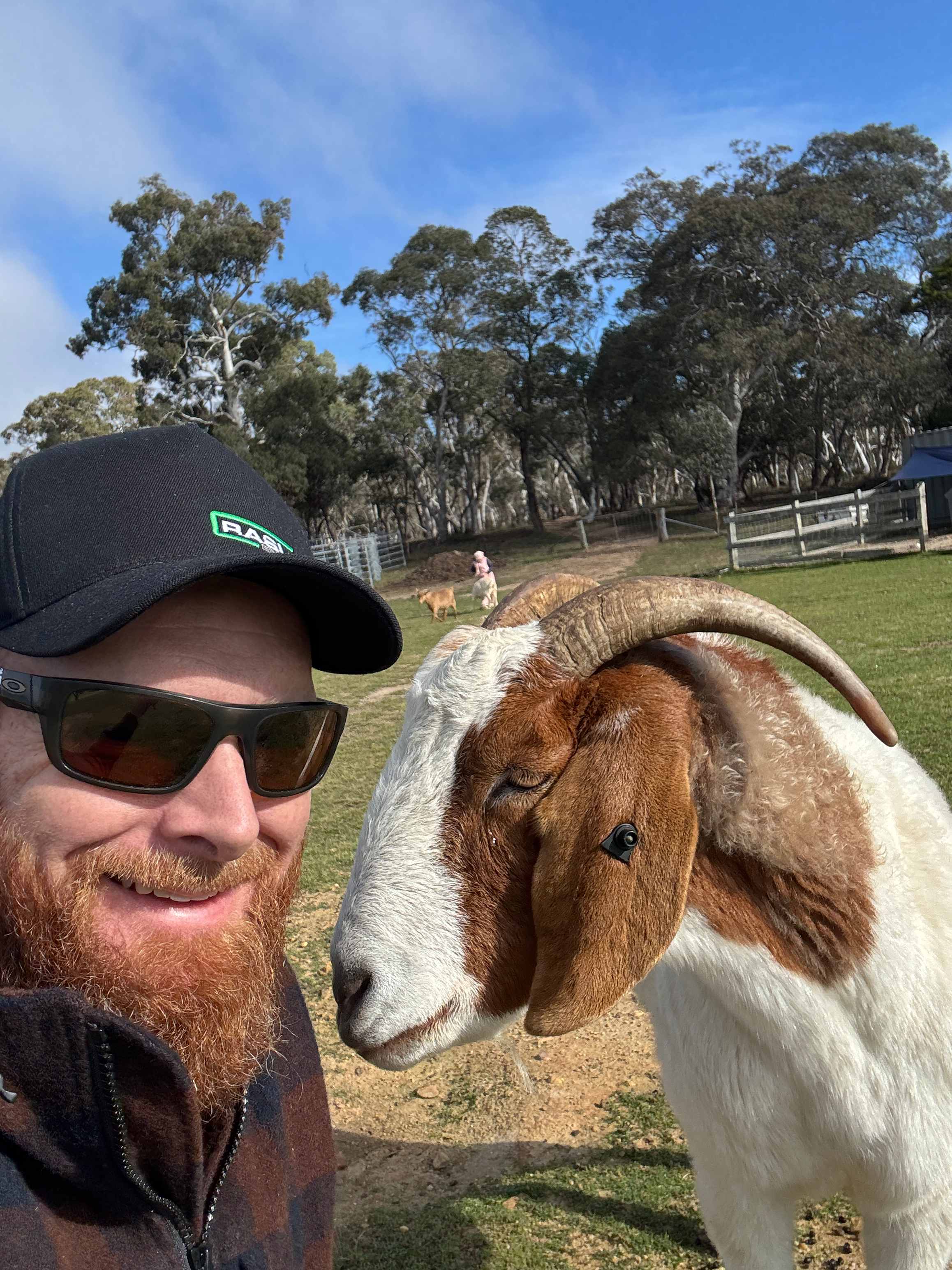Truffle Farm Camping