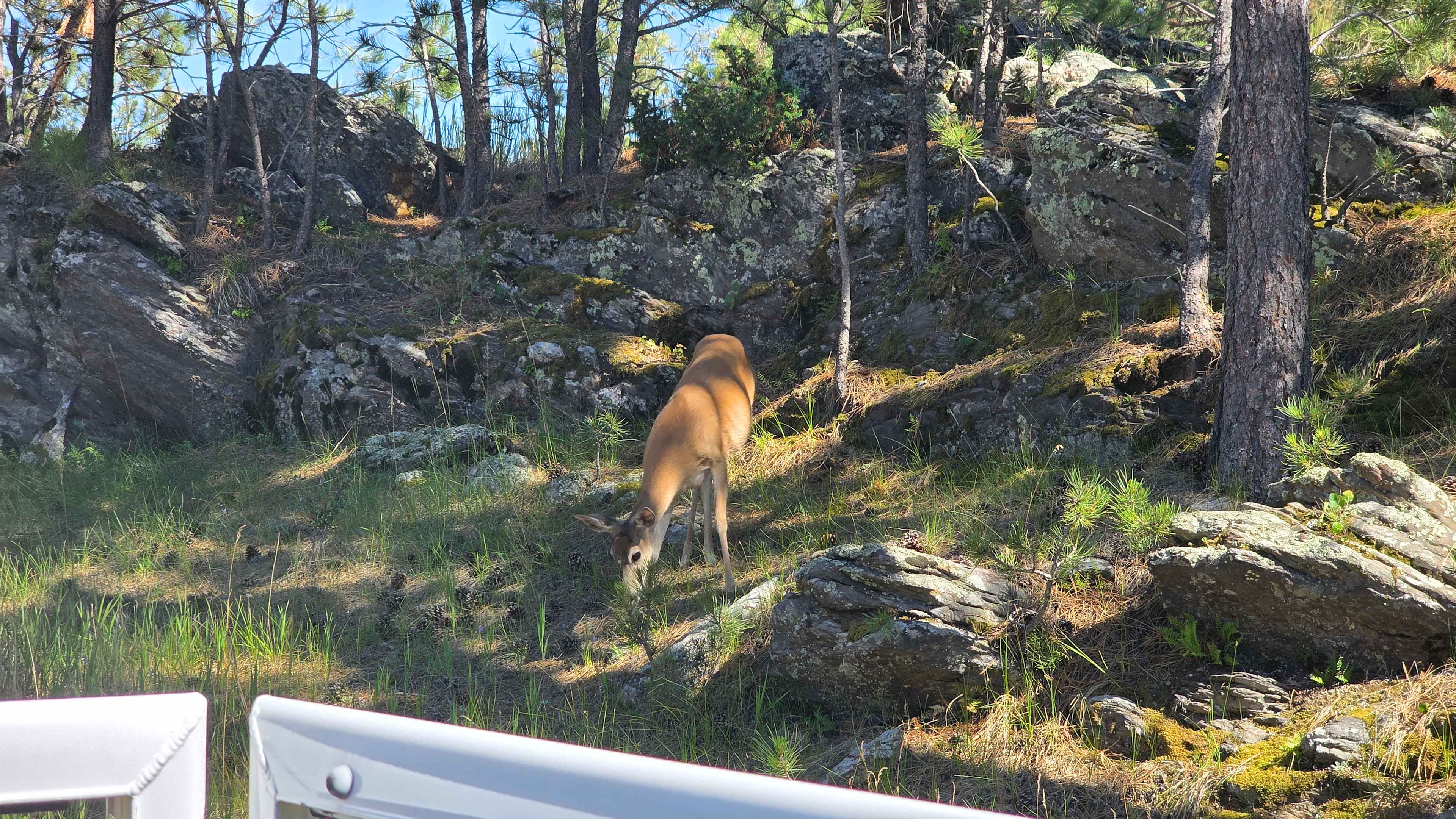 KPM Rentals in the Black Hills