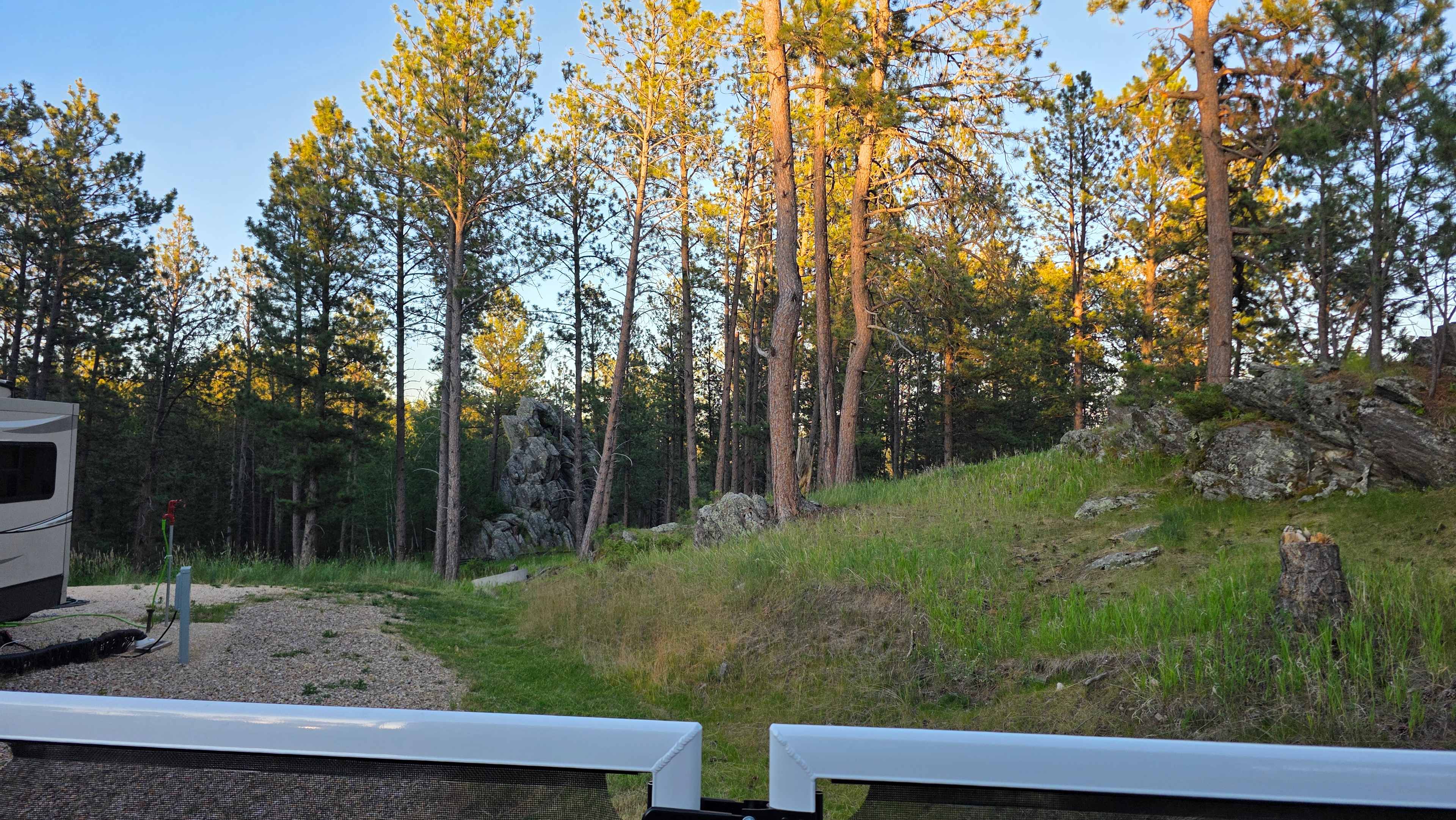 Picture of the site