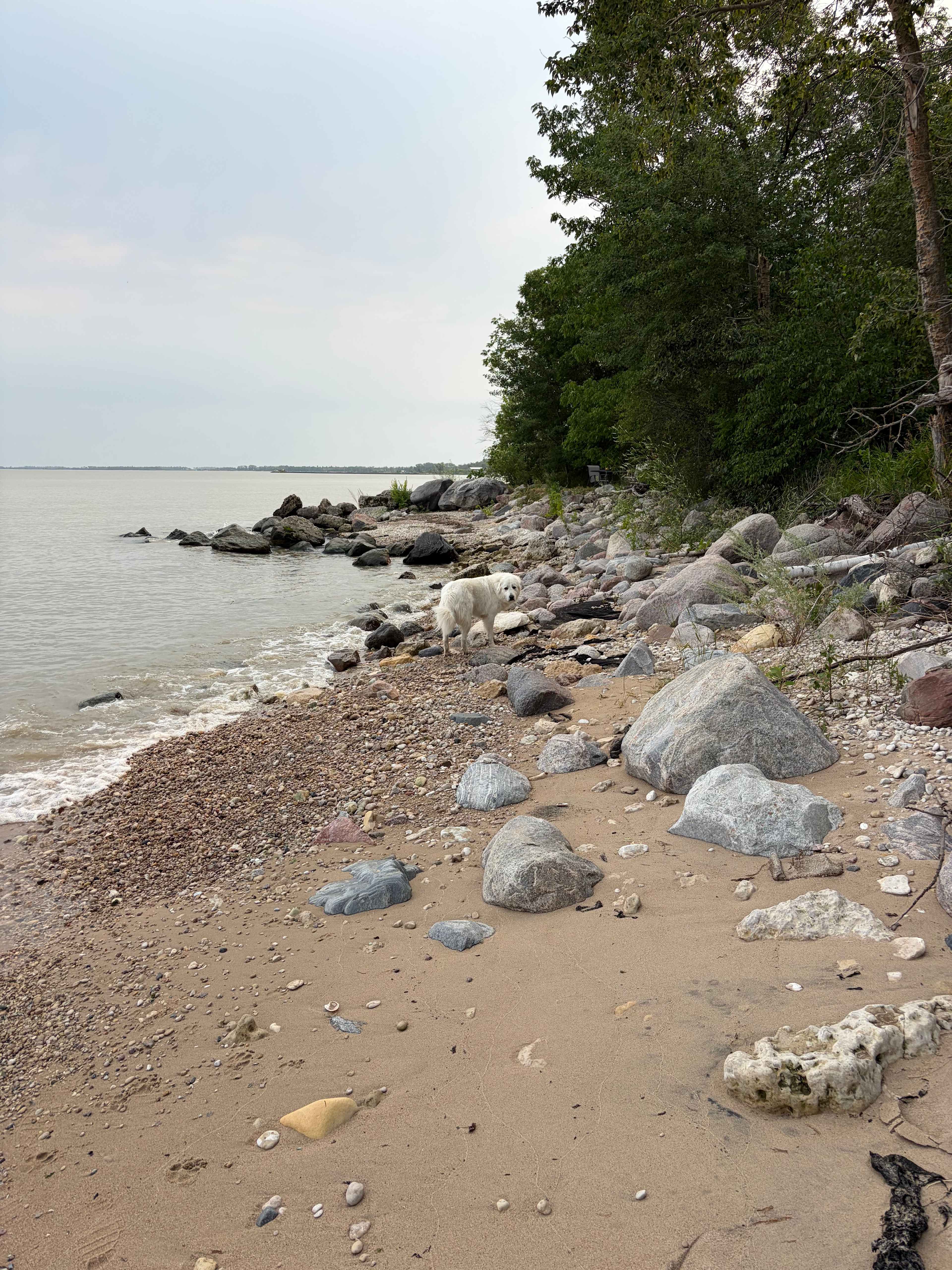 Lake Winnipeg Beachfront Eyrarbakki