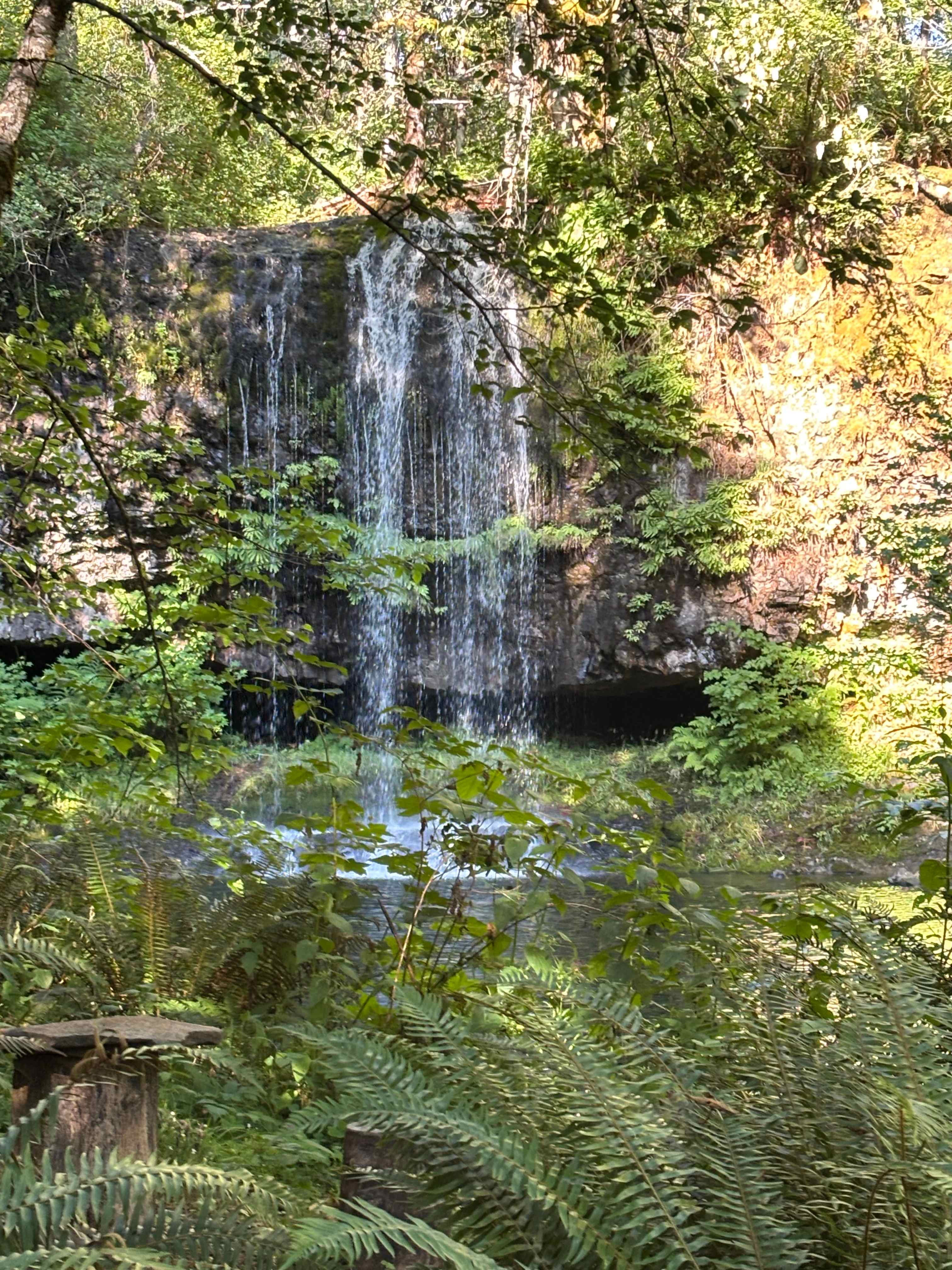 The Falls at Elk Prairie