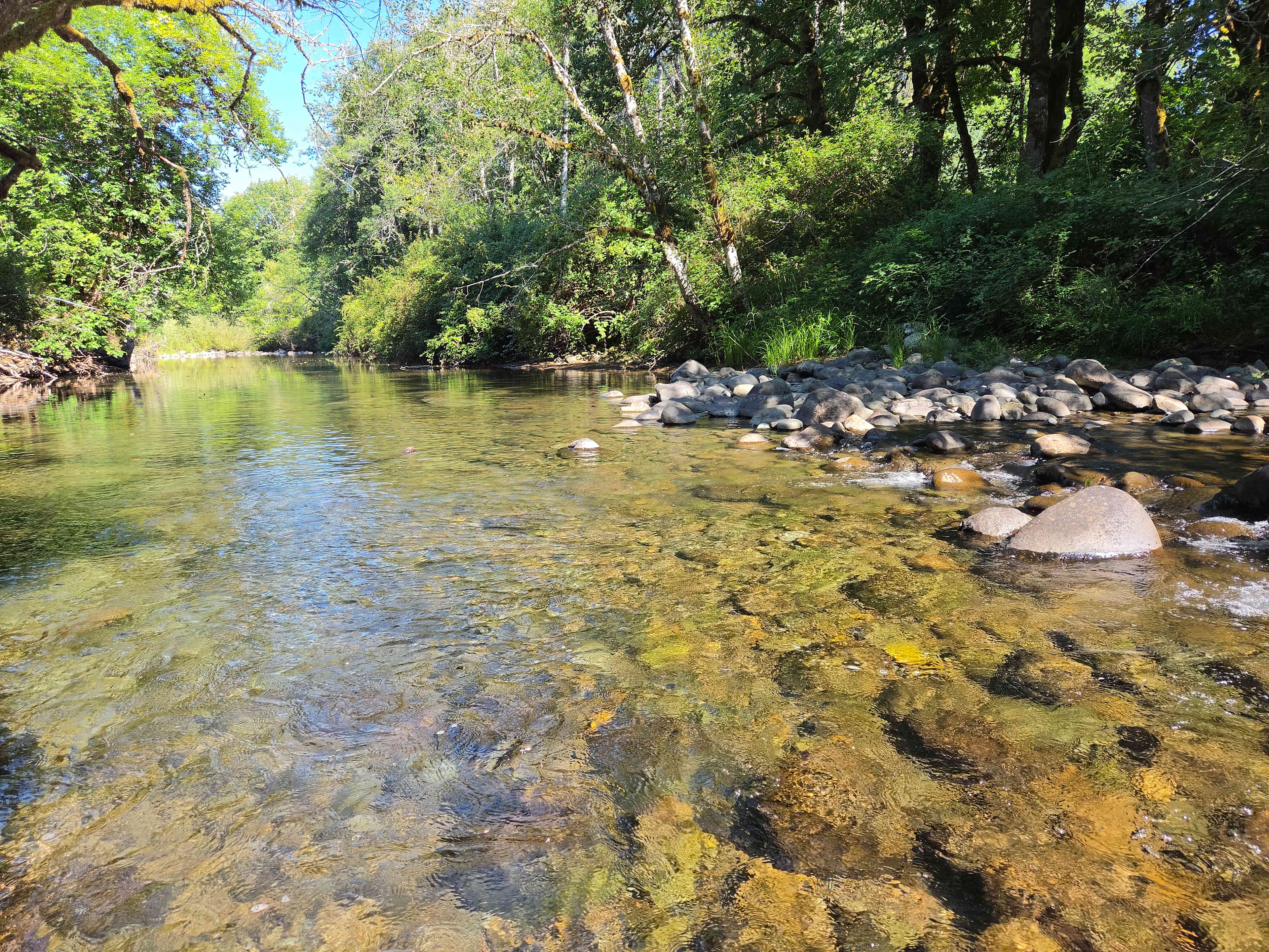 Rock Crick Acres