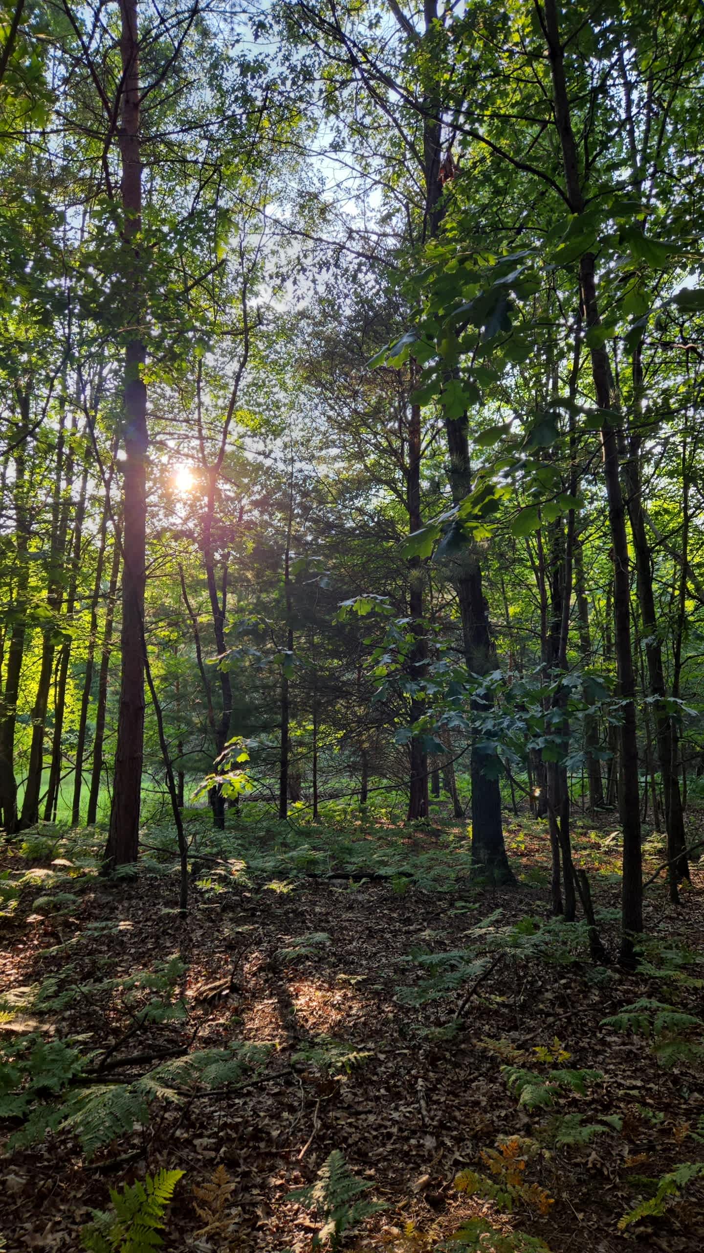 Flipside Acres