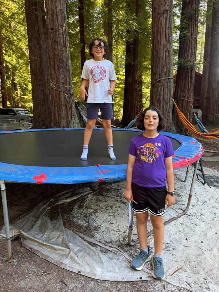 Trampolines are a great way for kids to burn unspent energy!