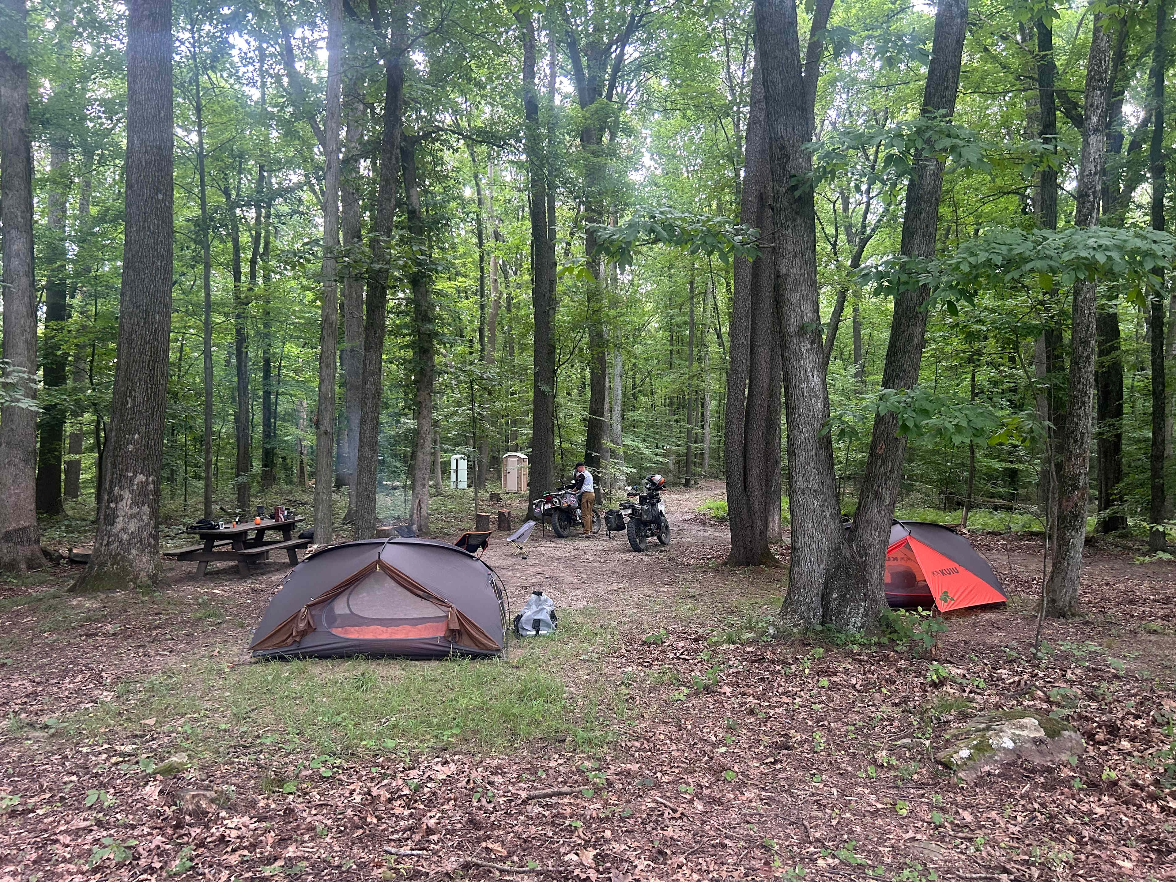 Big site, mature woods. 