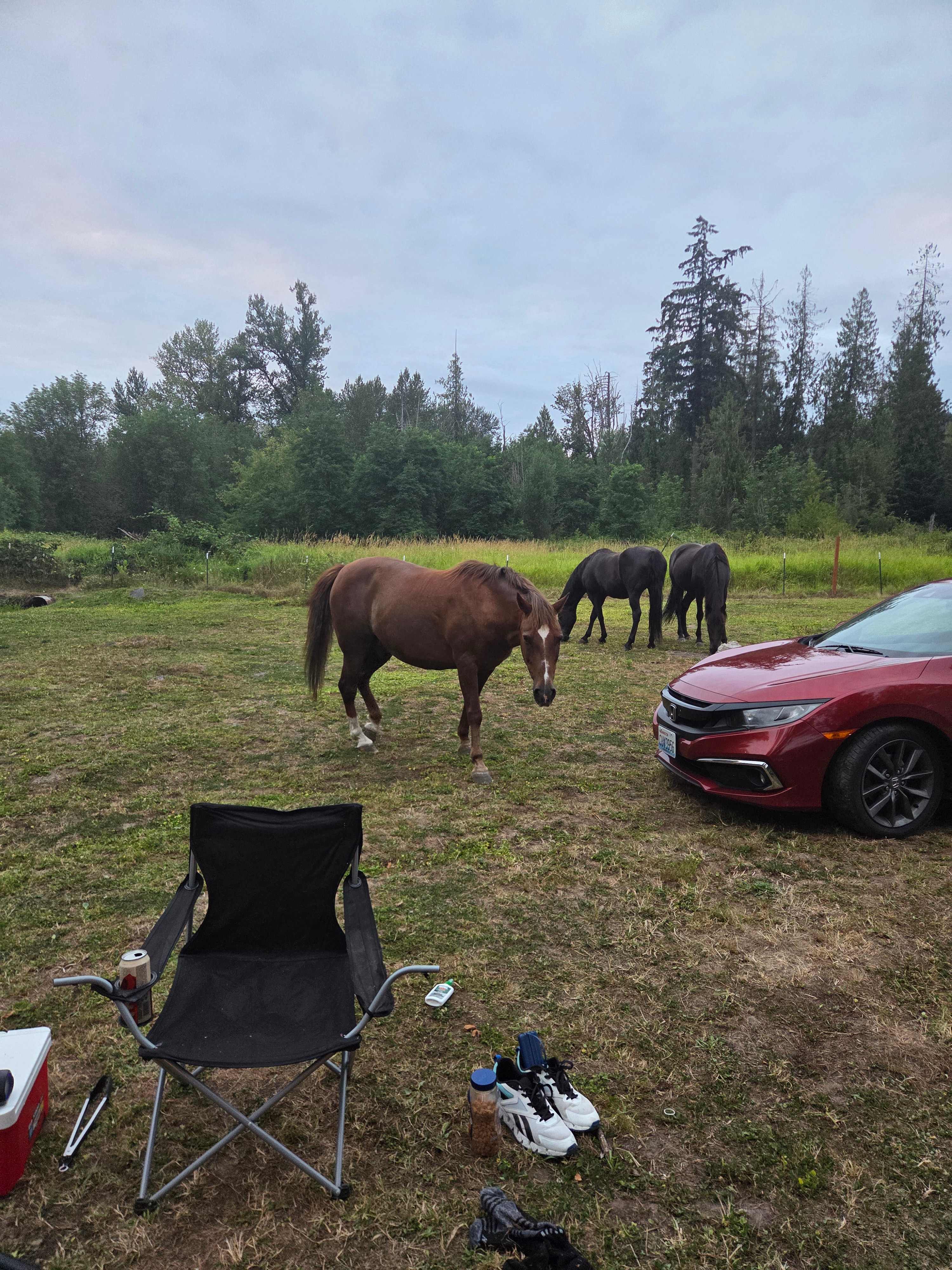 Elysian Retreat