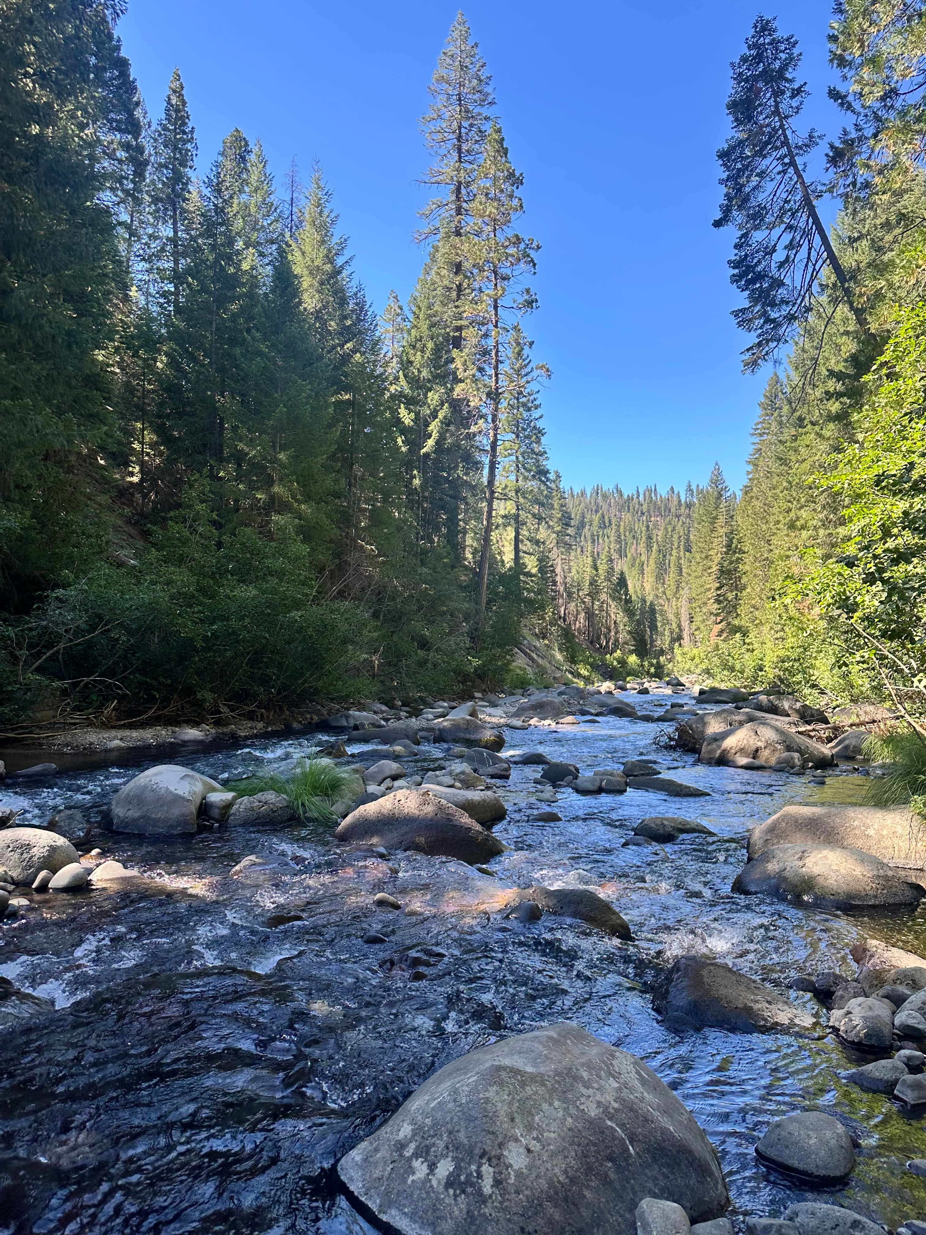 Mill Creek Resort