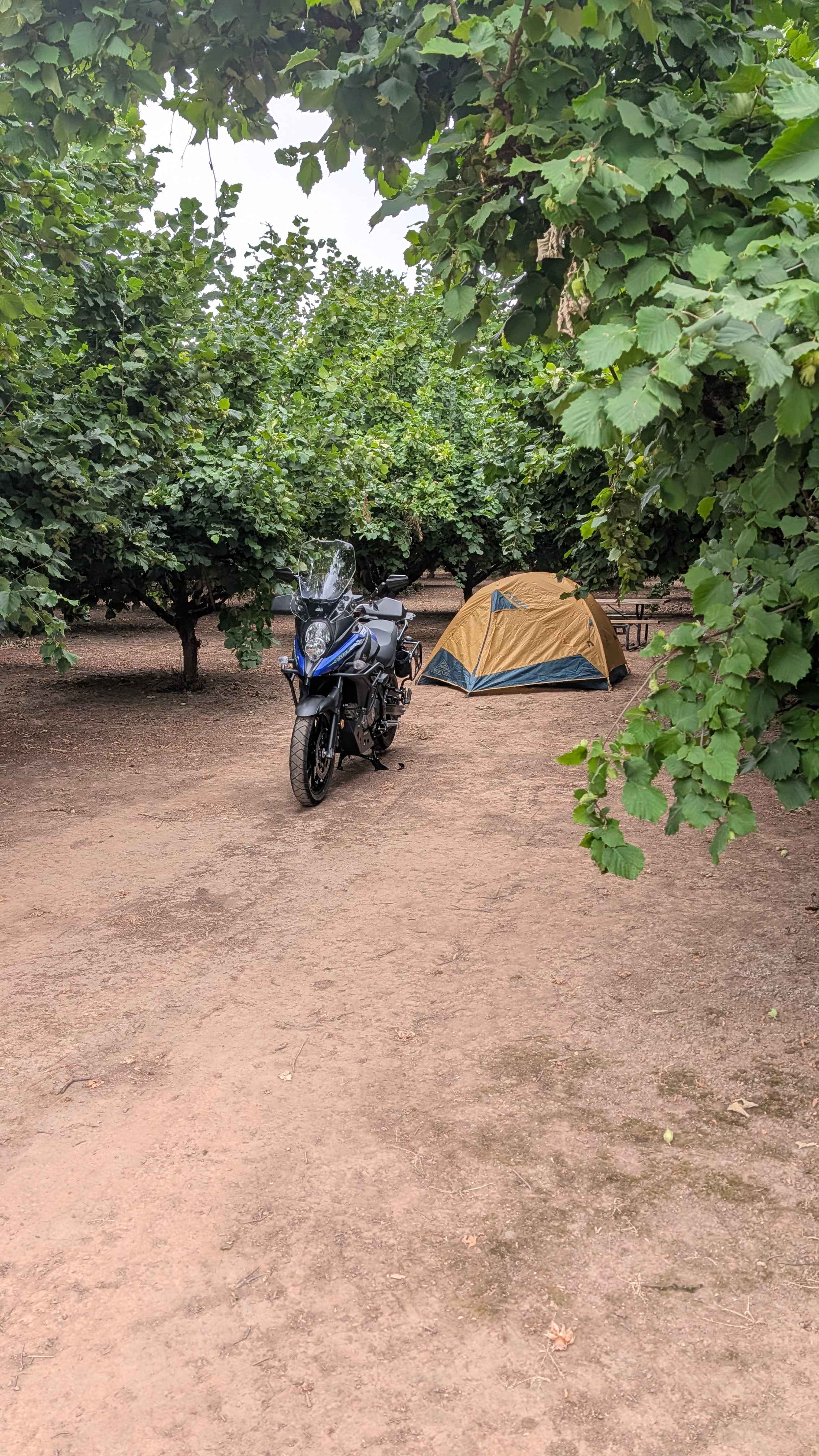 Tranquil Orchard and Wine Tours
