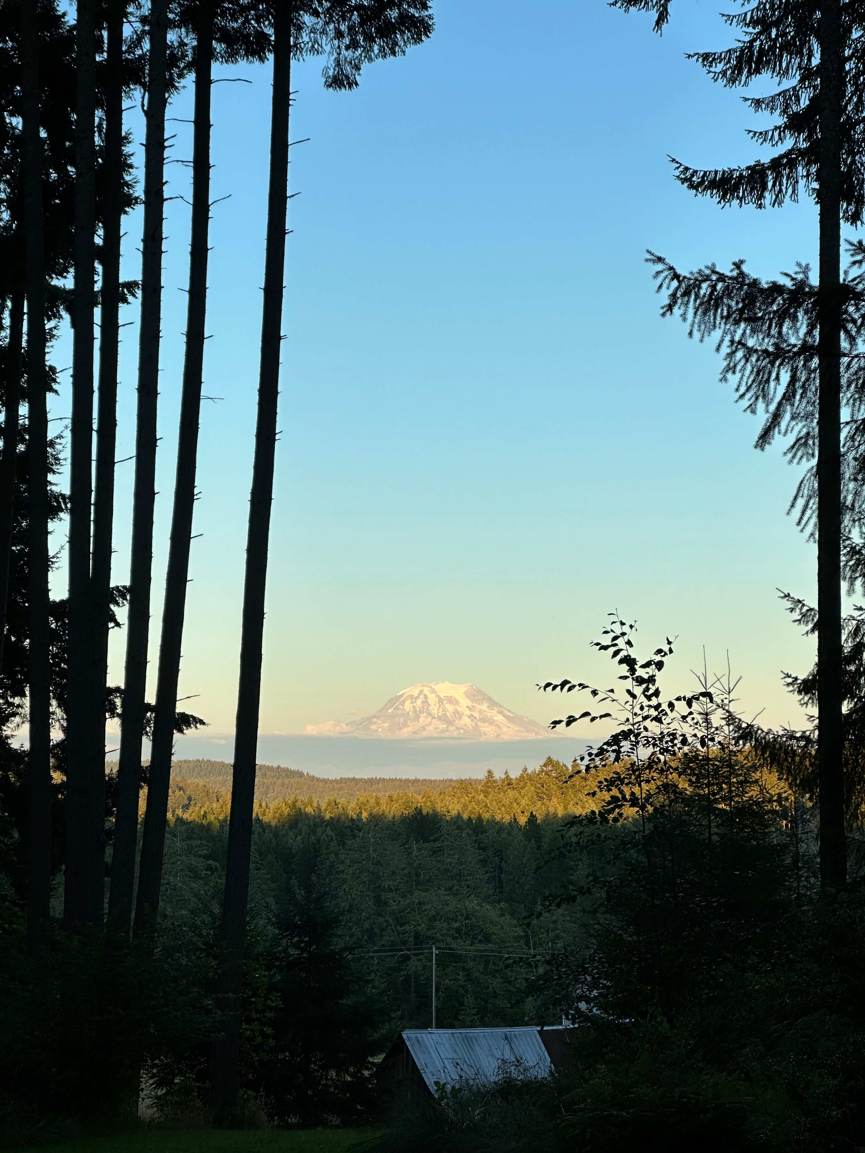 Madrona Meadow Camp