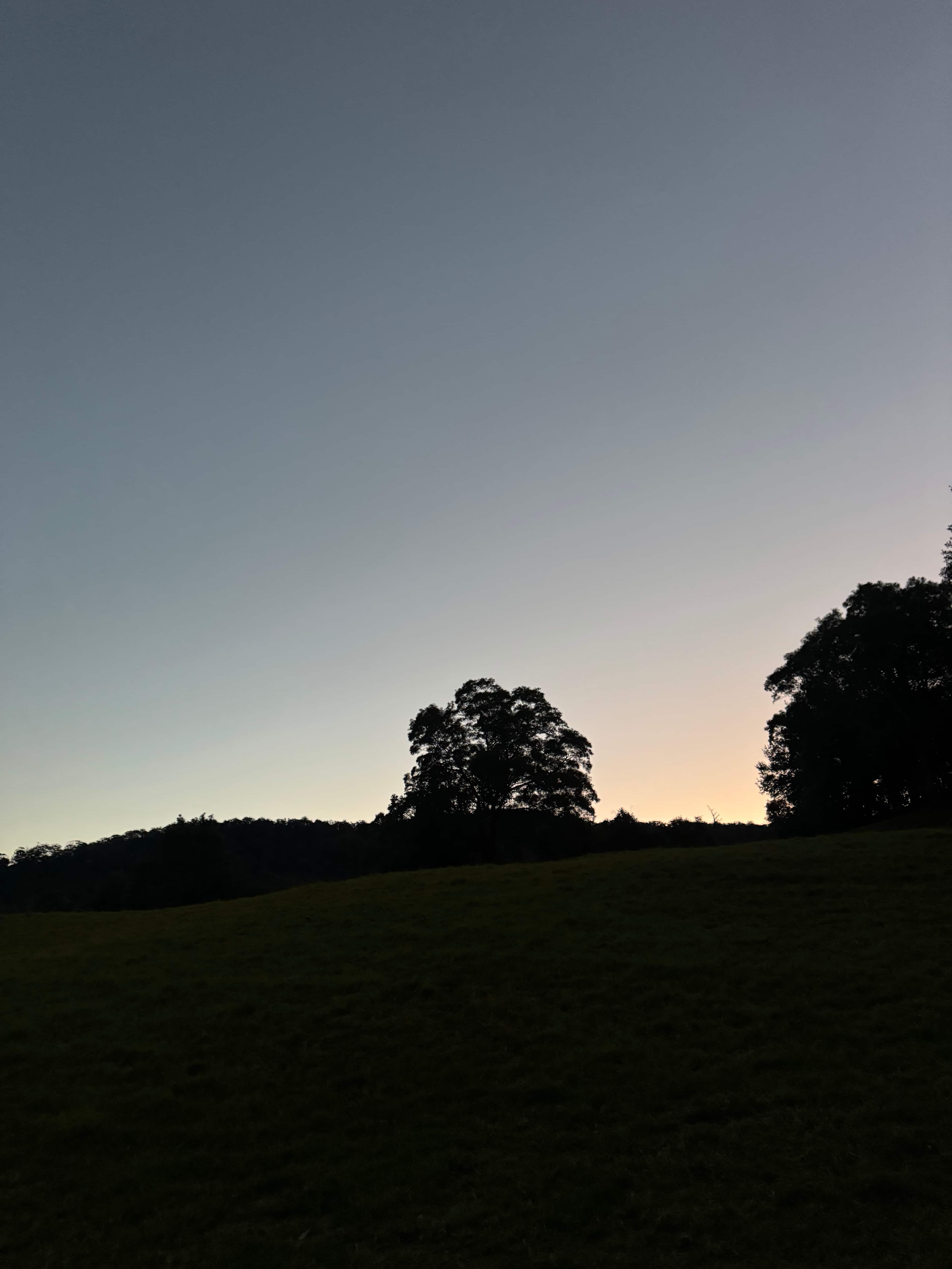 Young Macdonald’s Farm