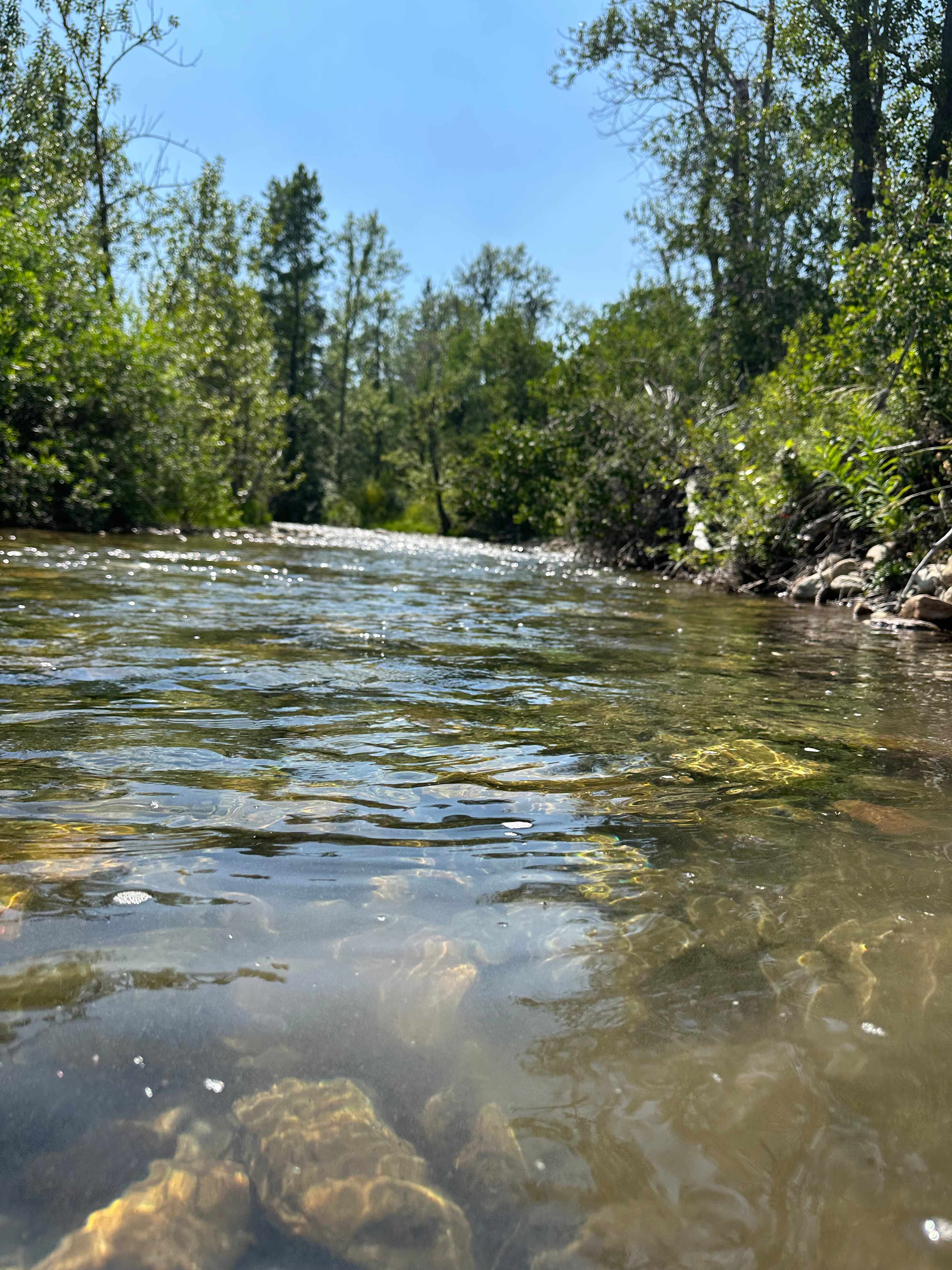 Cool off quickly right next to tent!!  (It’s prettier than this photo, believe me)