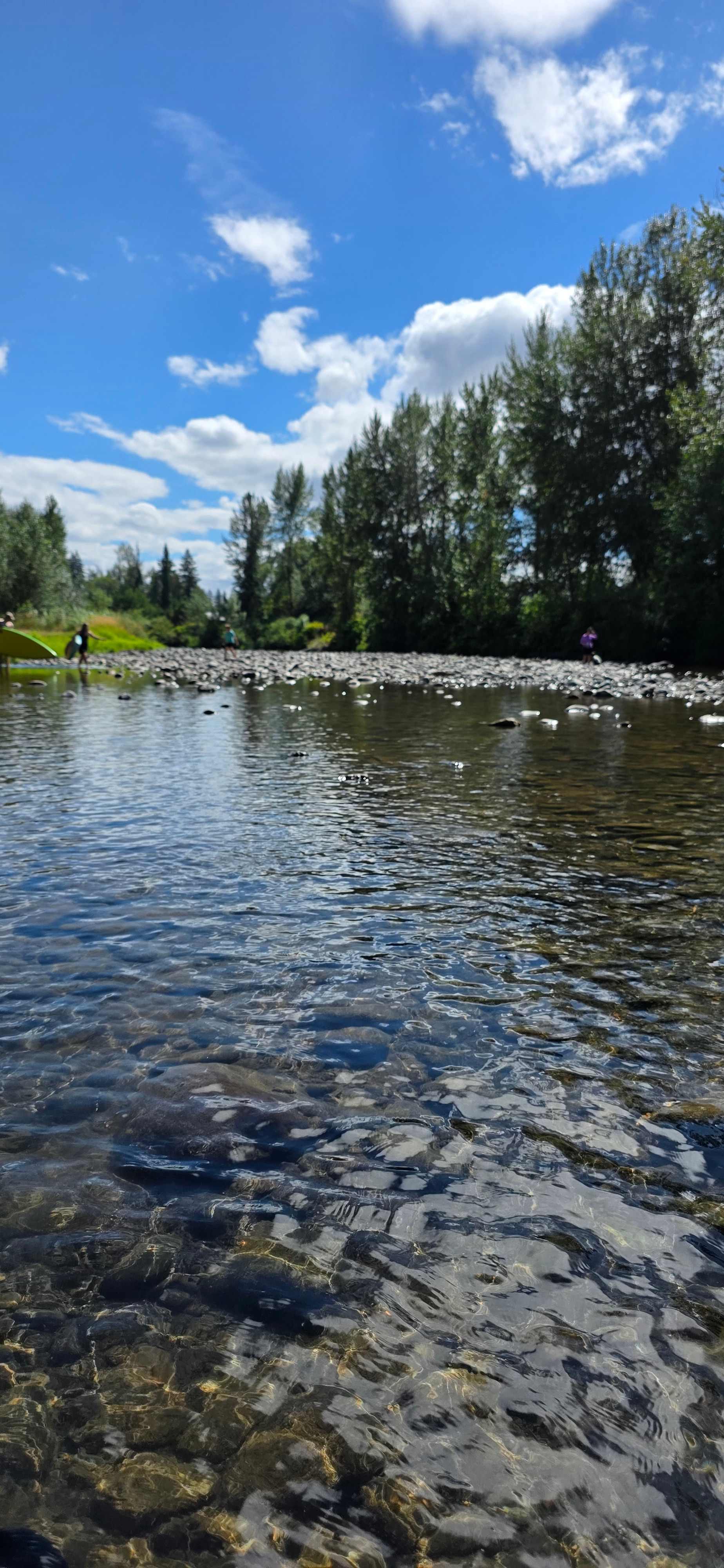 Molalla Ripple