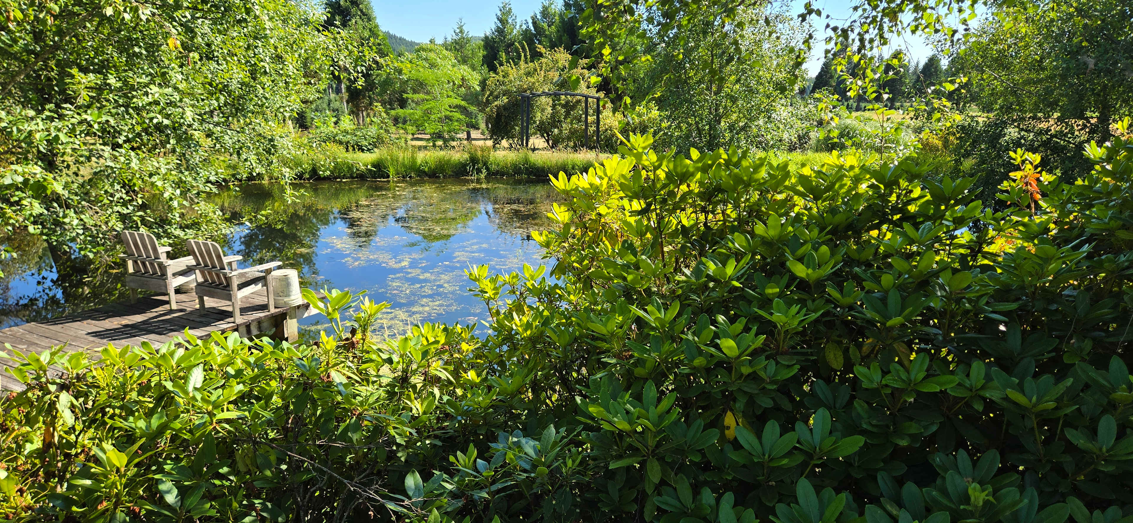 The Arboretum at Bear Canyon West