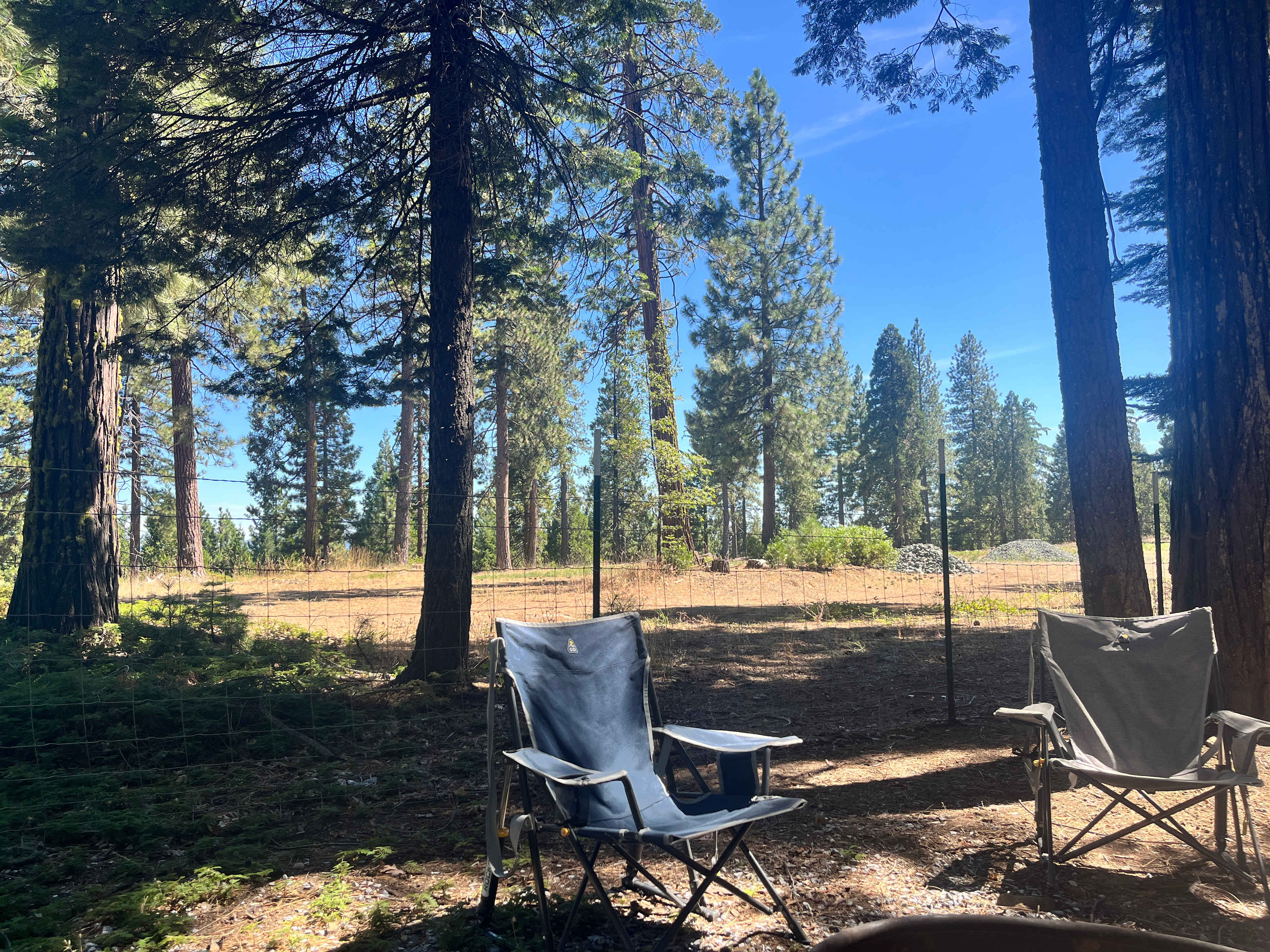 Backyard view from our 38 foot back-in site 