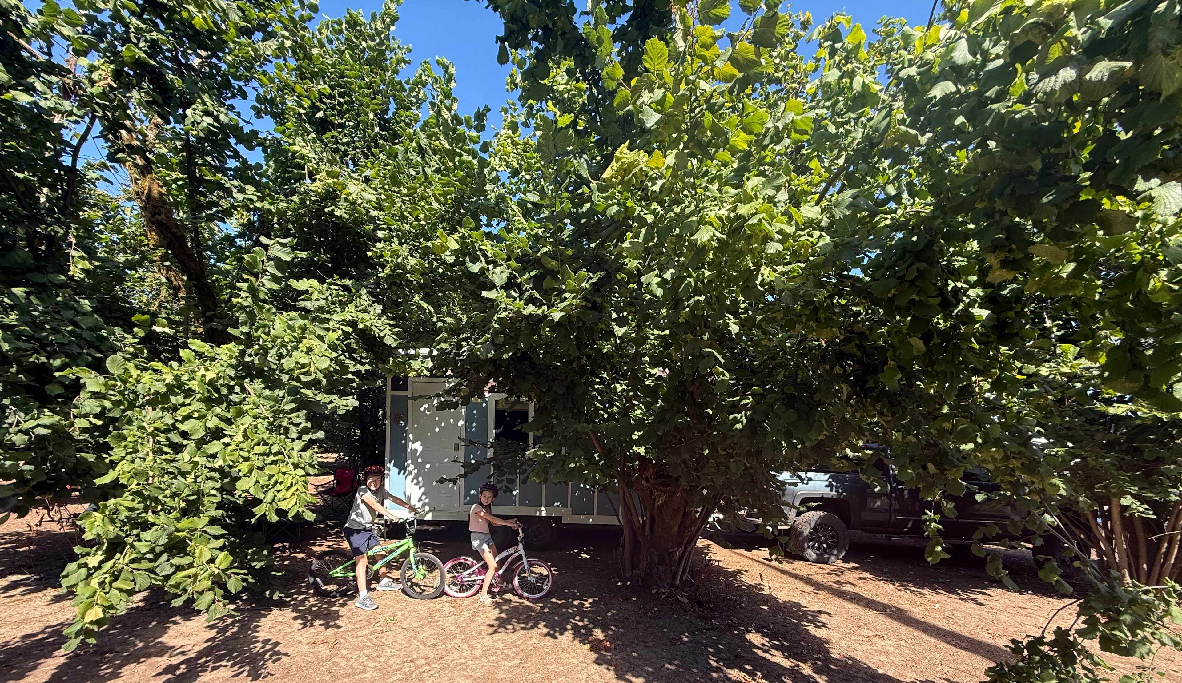Tranquil Orchard and Wine Tours