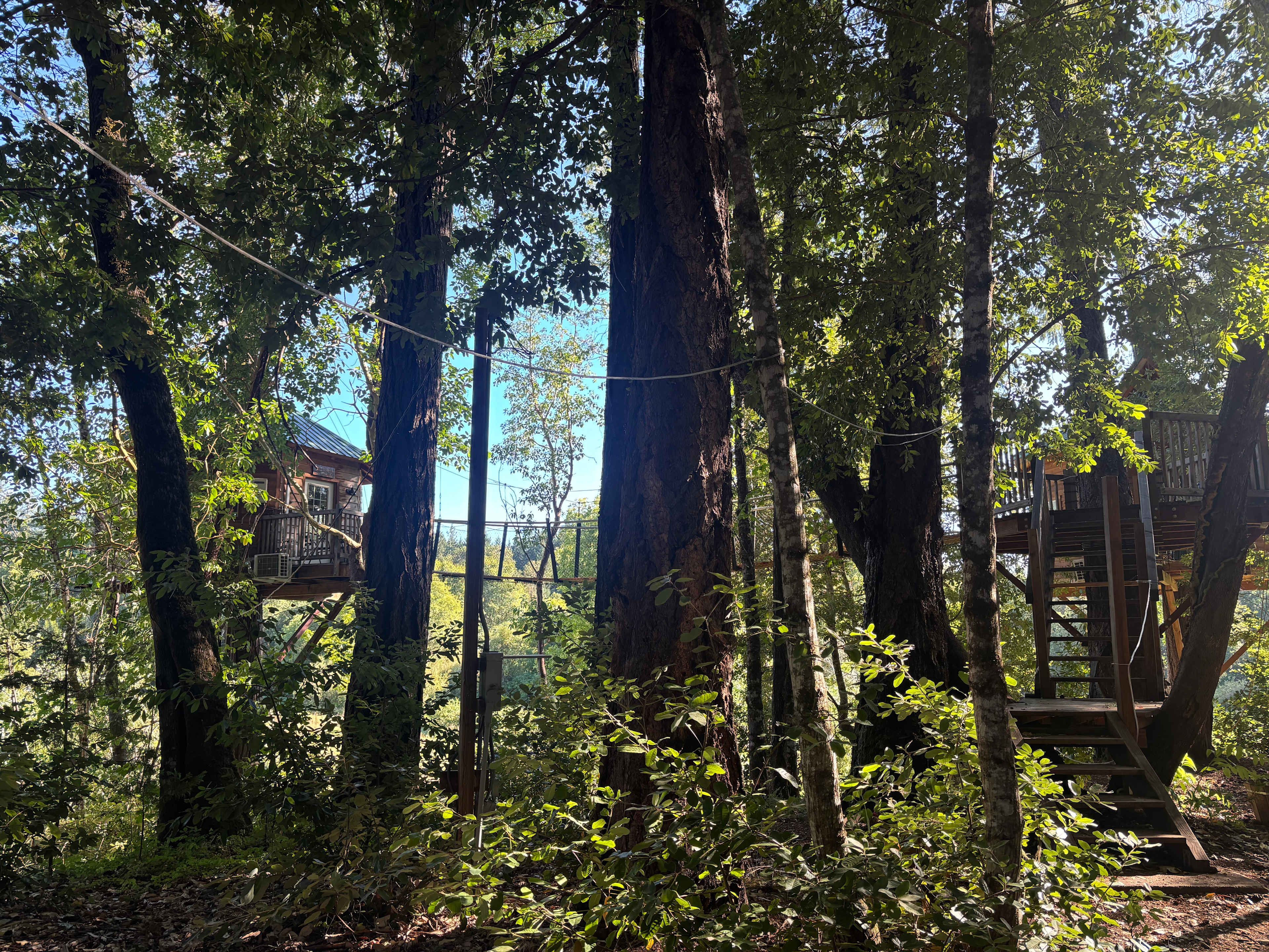 420 treehouses