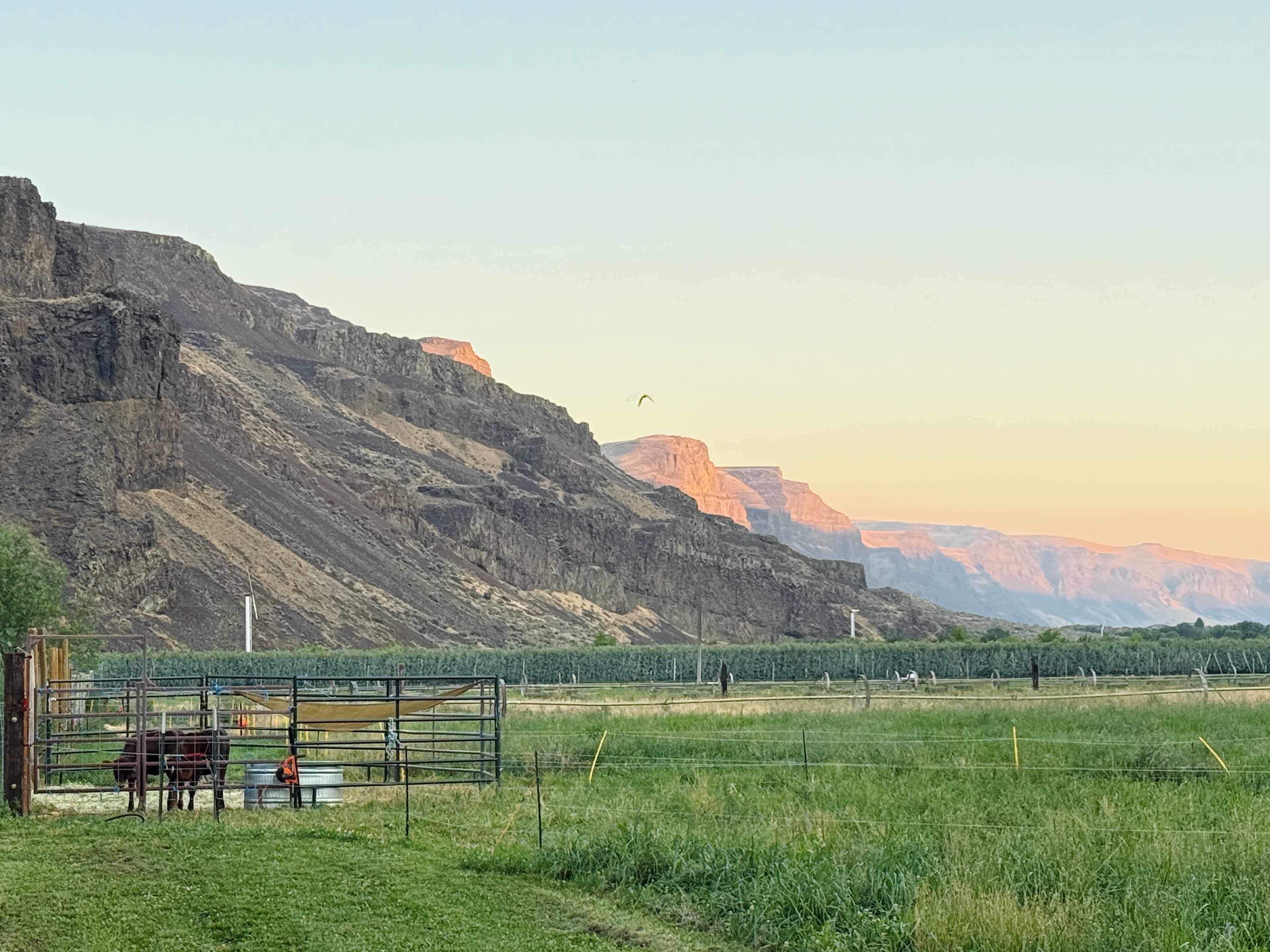 Just Another Mile Ranch