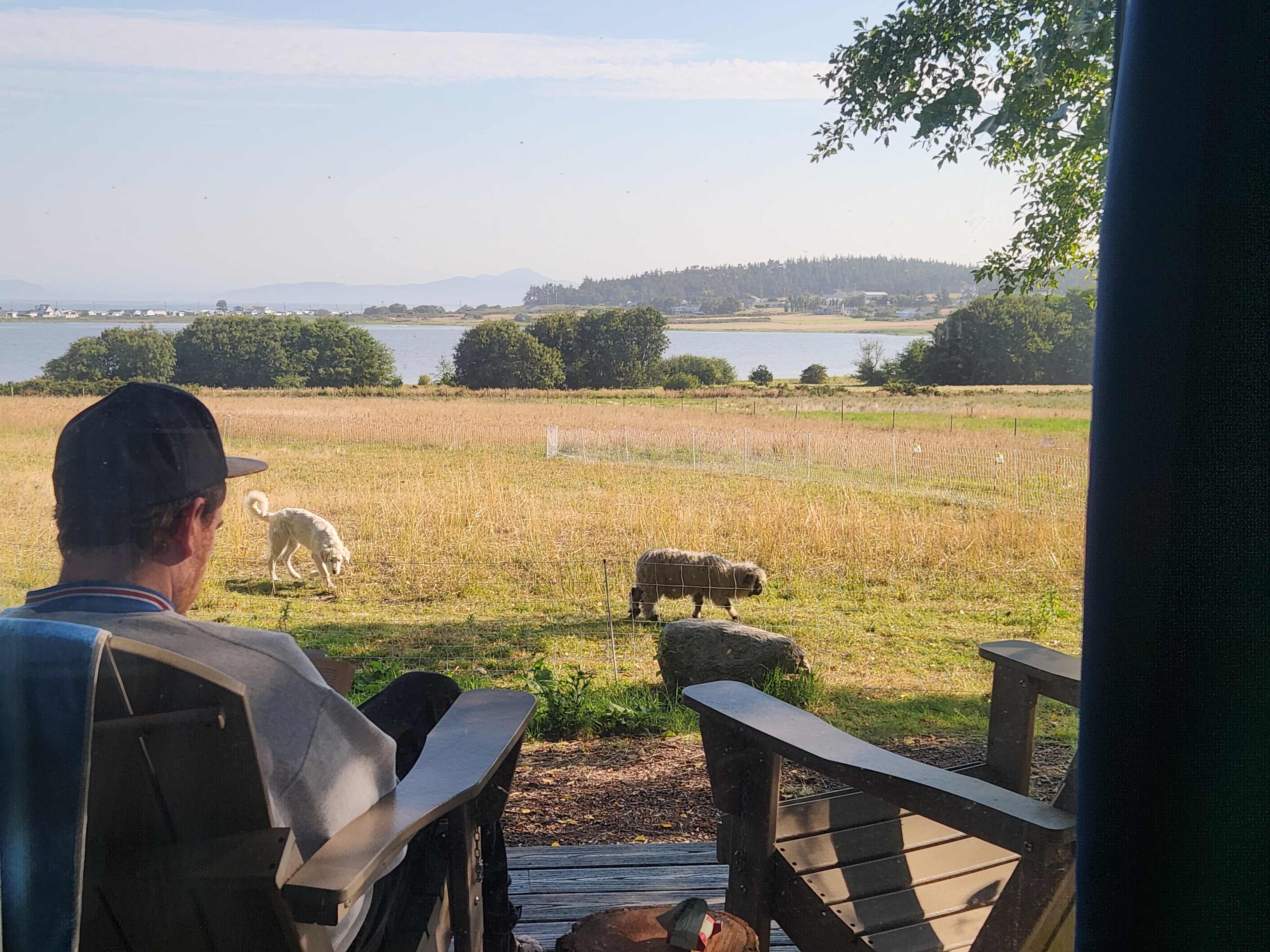 Whidbey Highland Farm