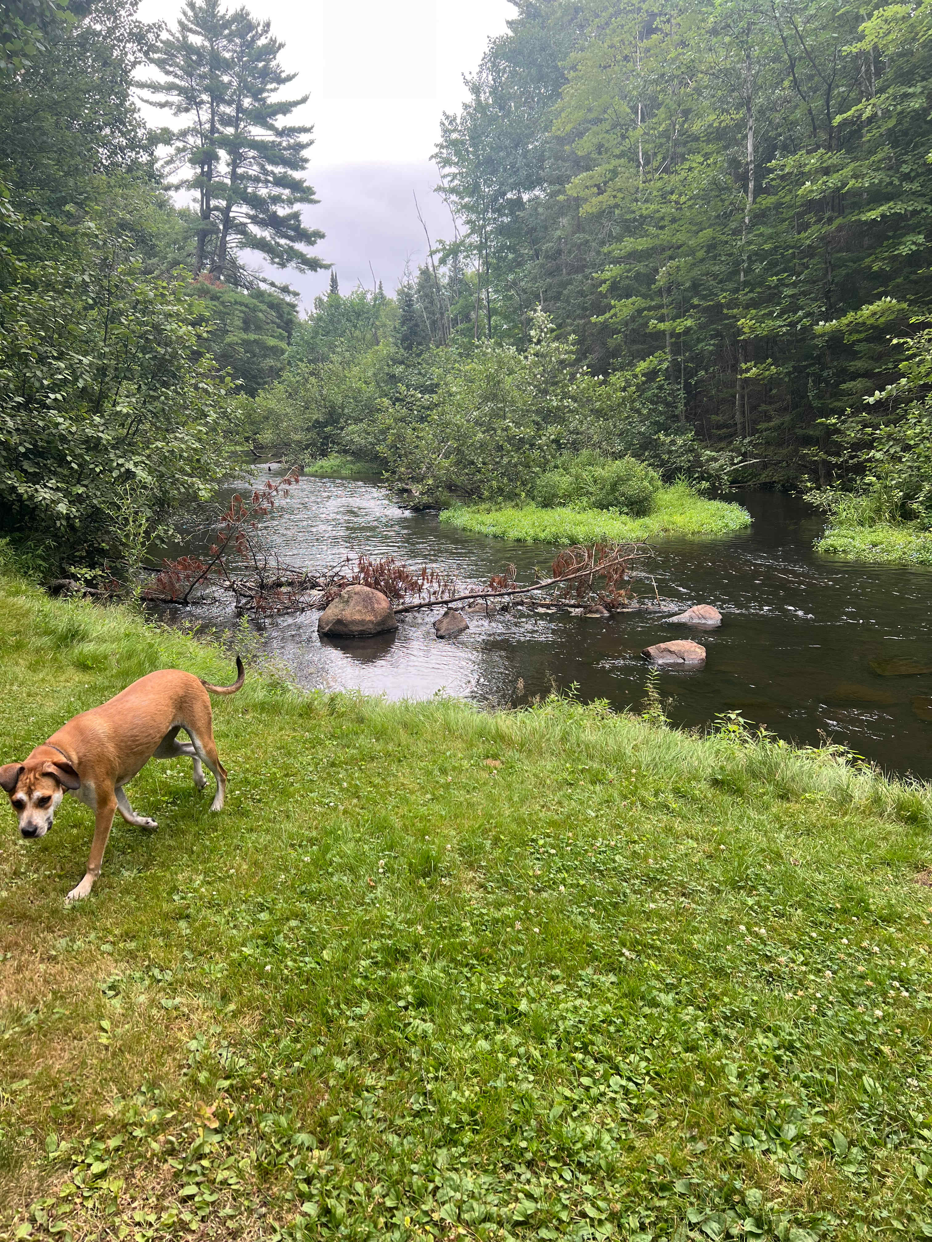 Peaceful, Country Camper