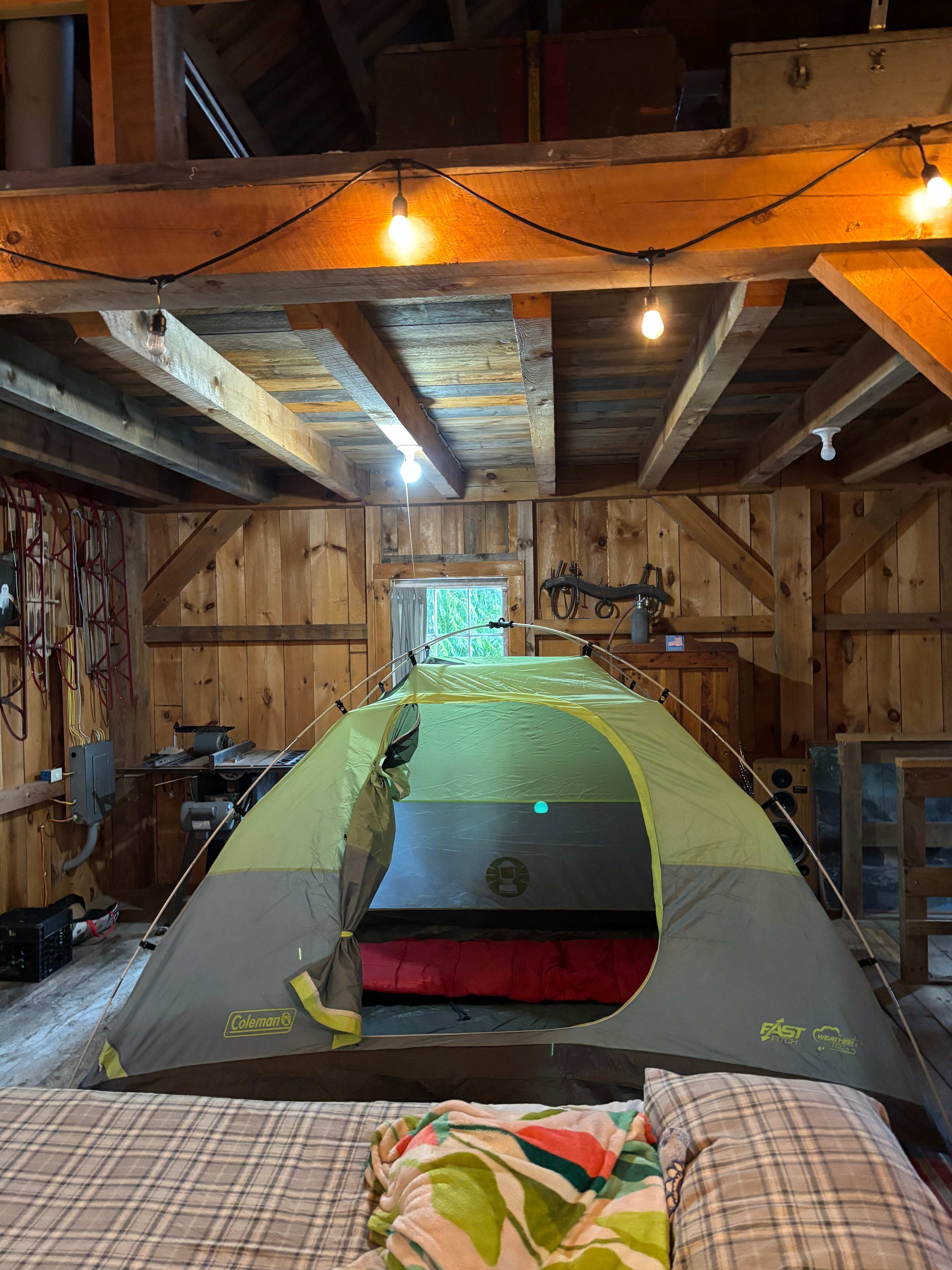 Timbertrail Farm