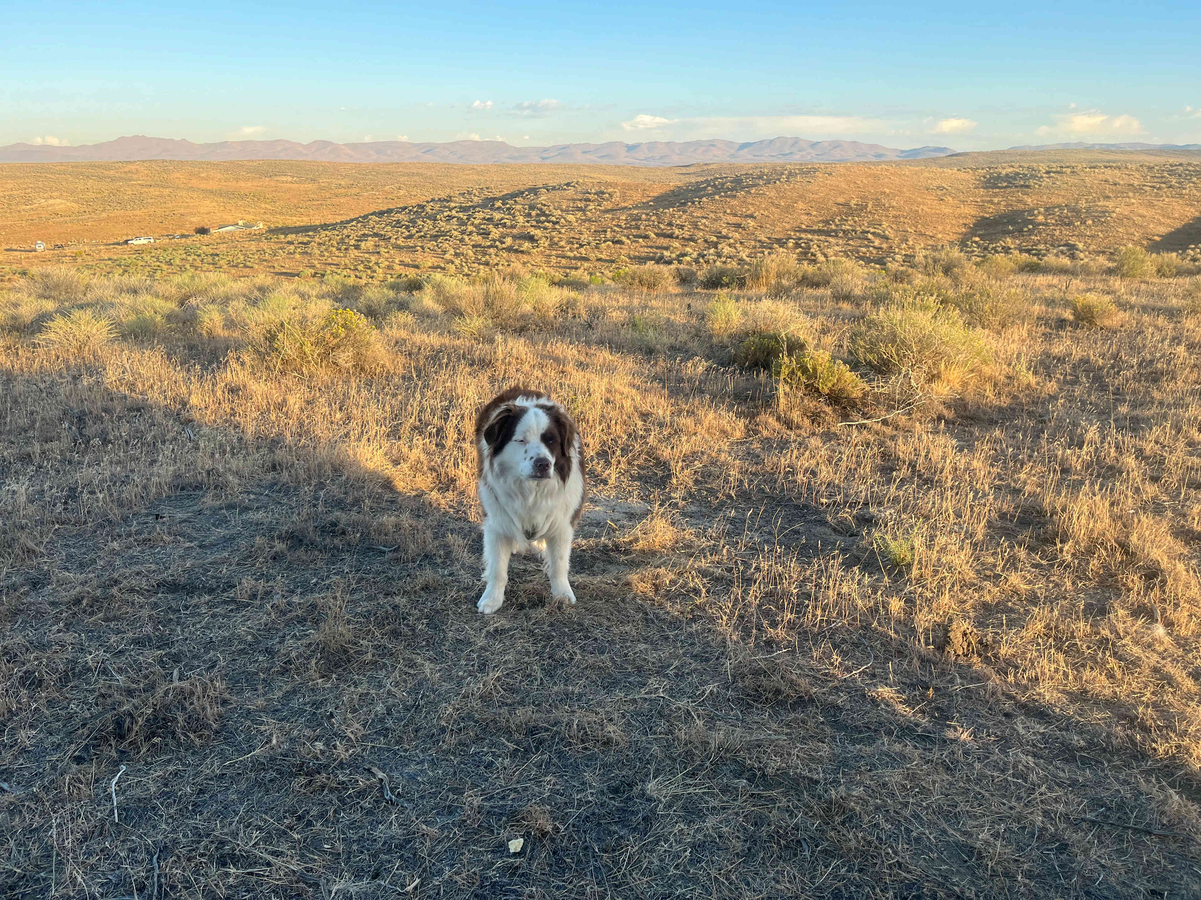 Ruby View Retreat