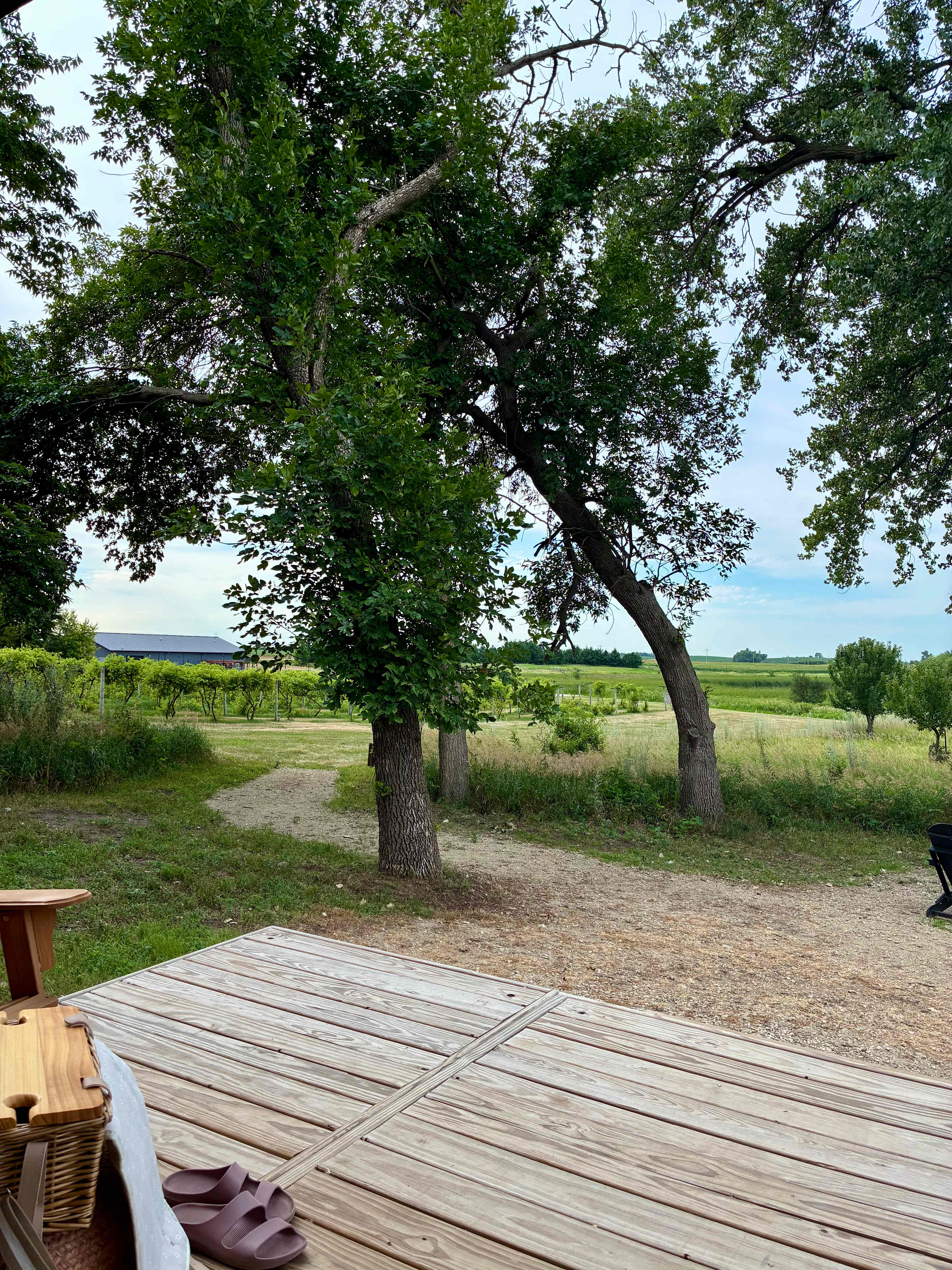 Painted Prairie Vineyard