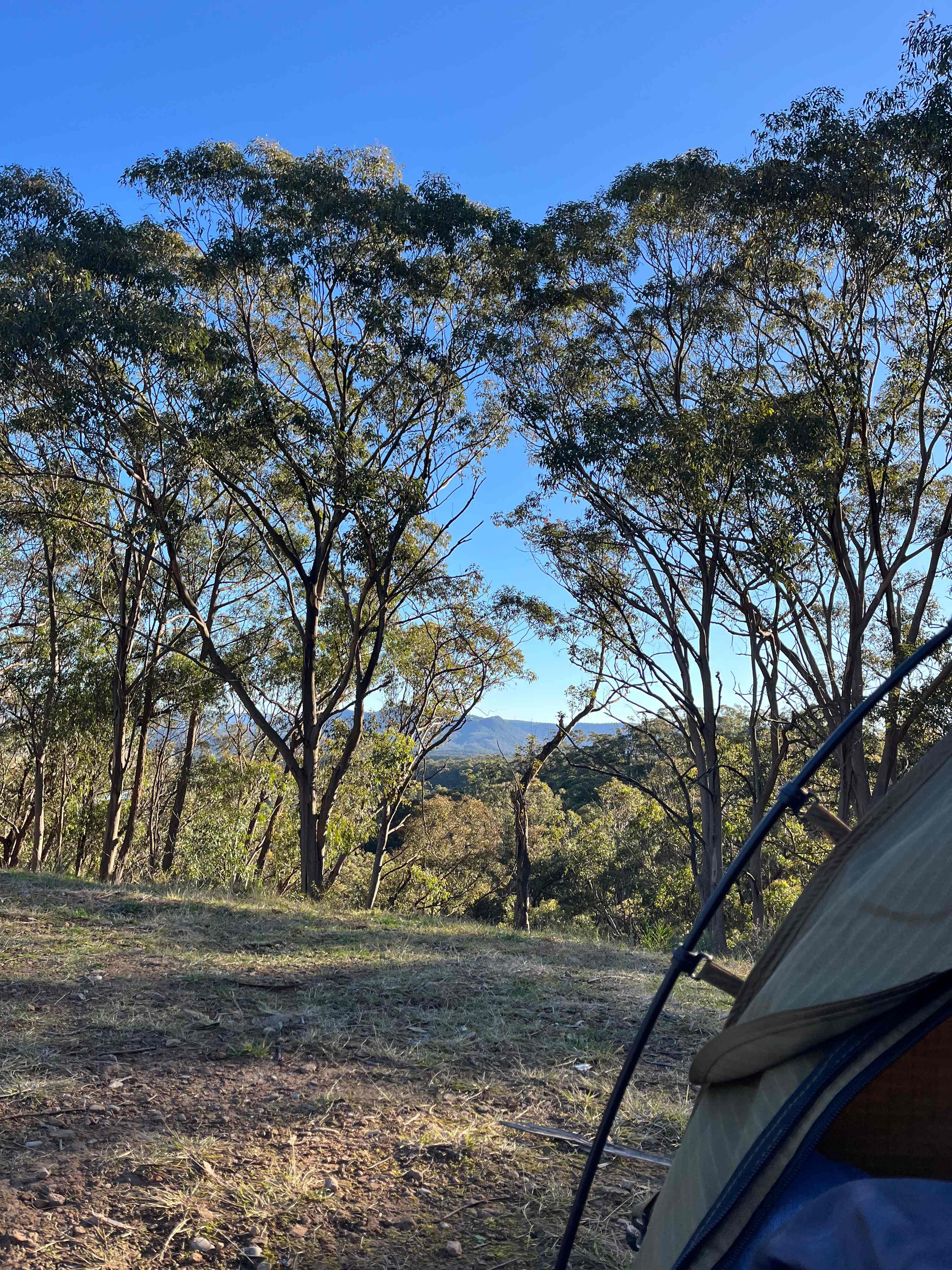 Room with a view