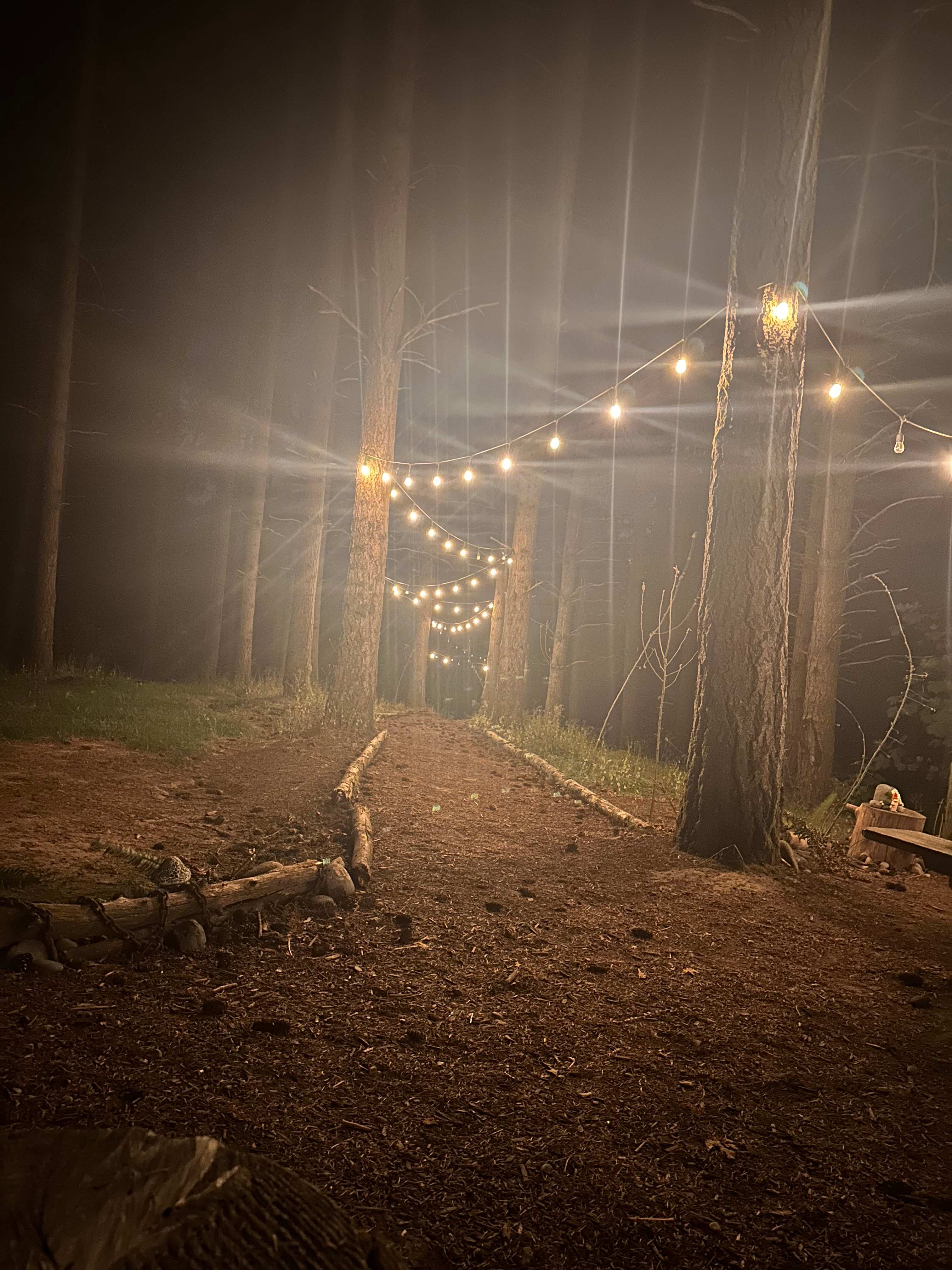 Akitaaru Forest Camp