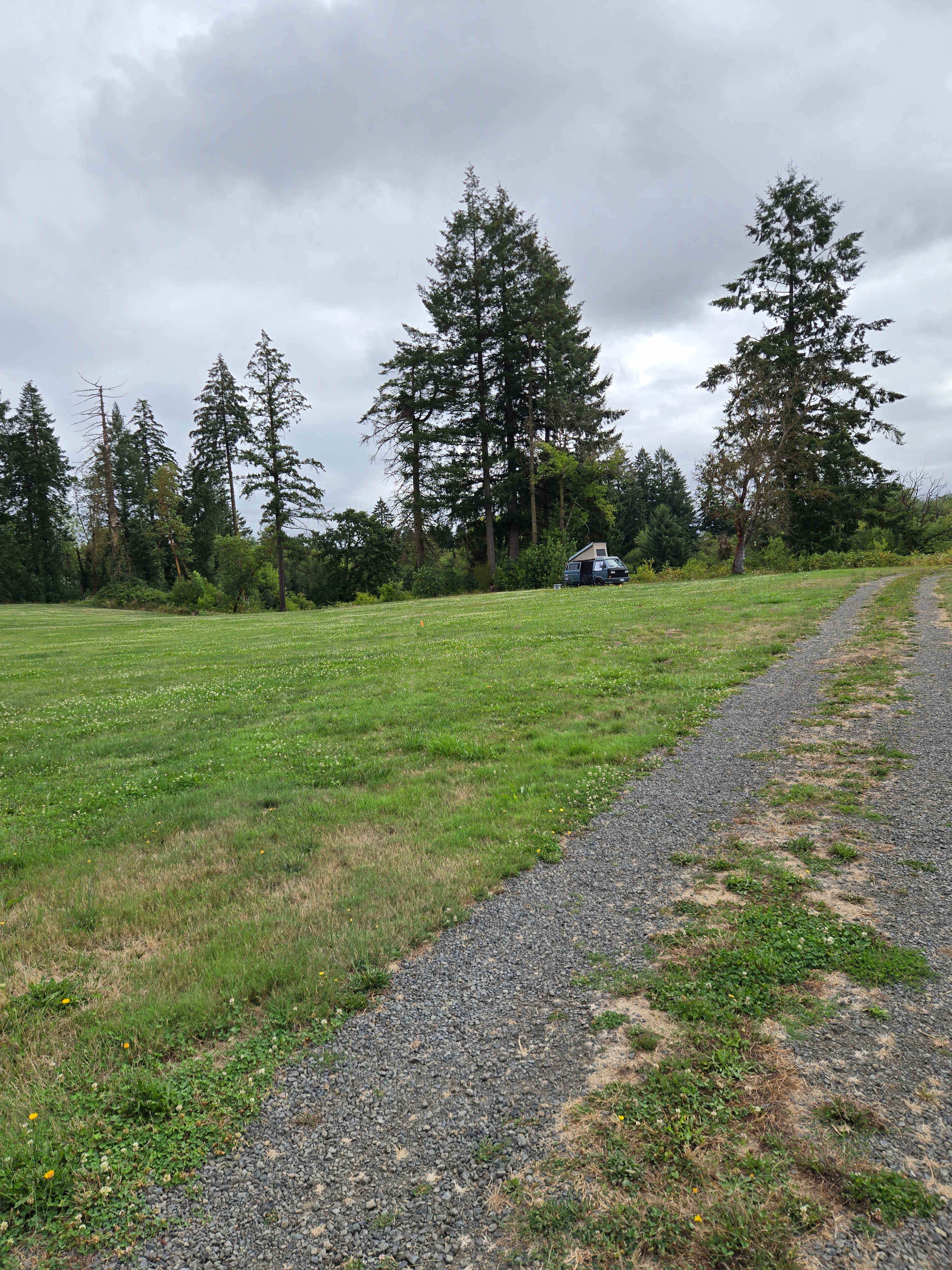 Dauenhauer Family Campground