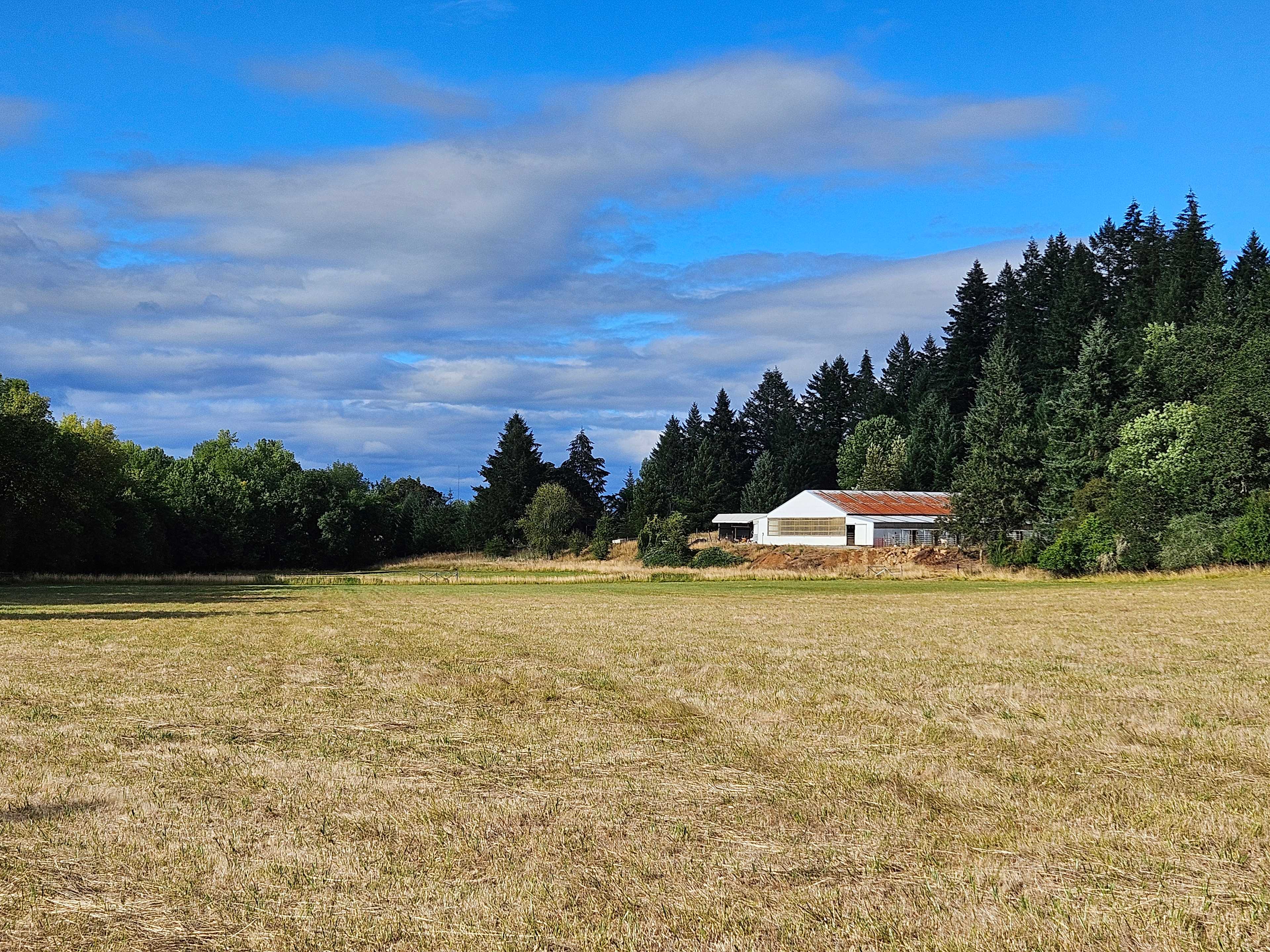 Circle C Farm