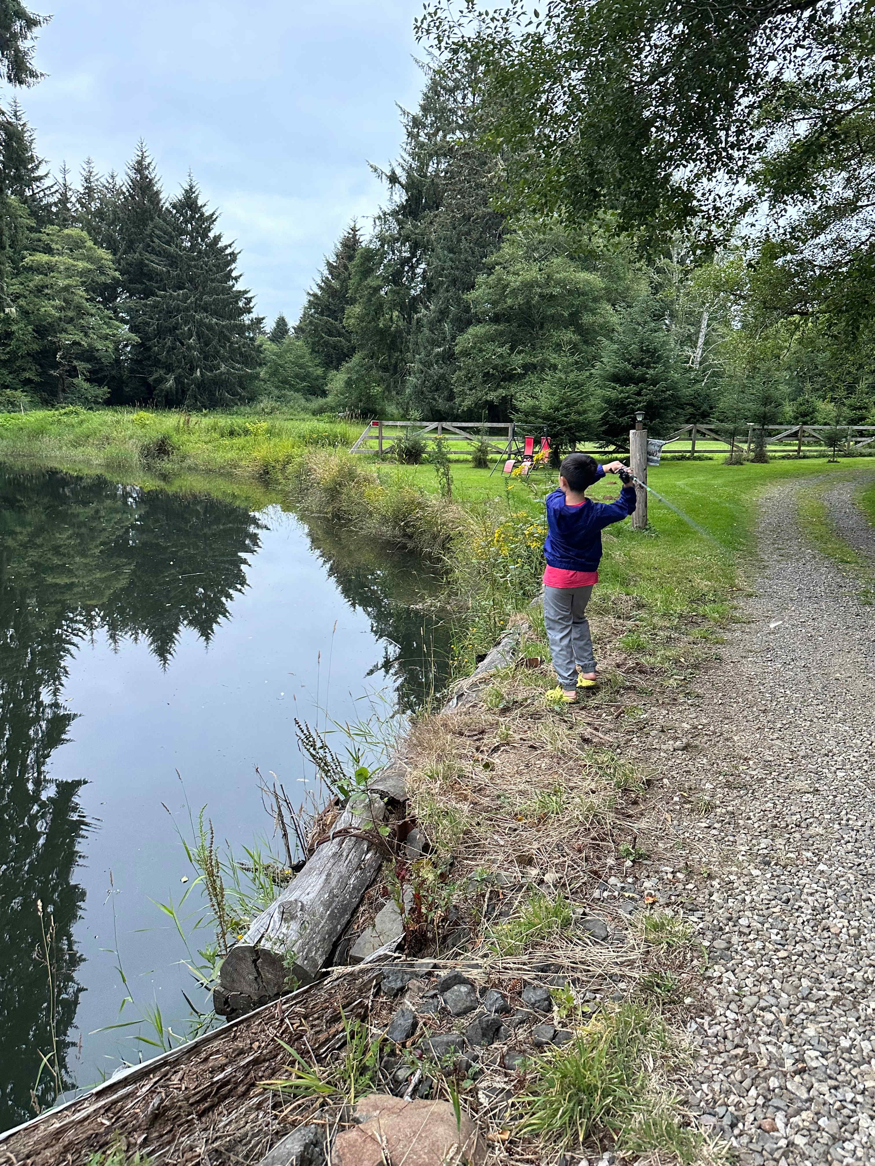 Williams Park campground
