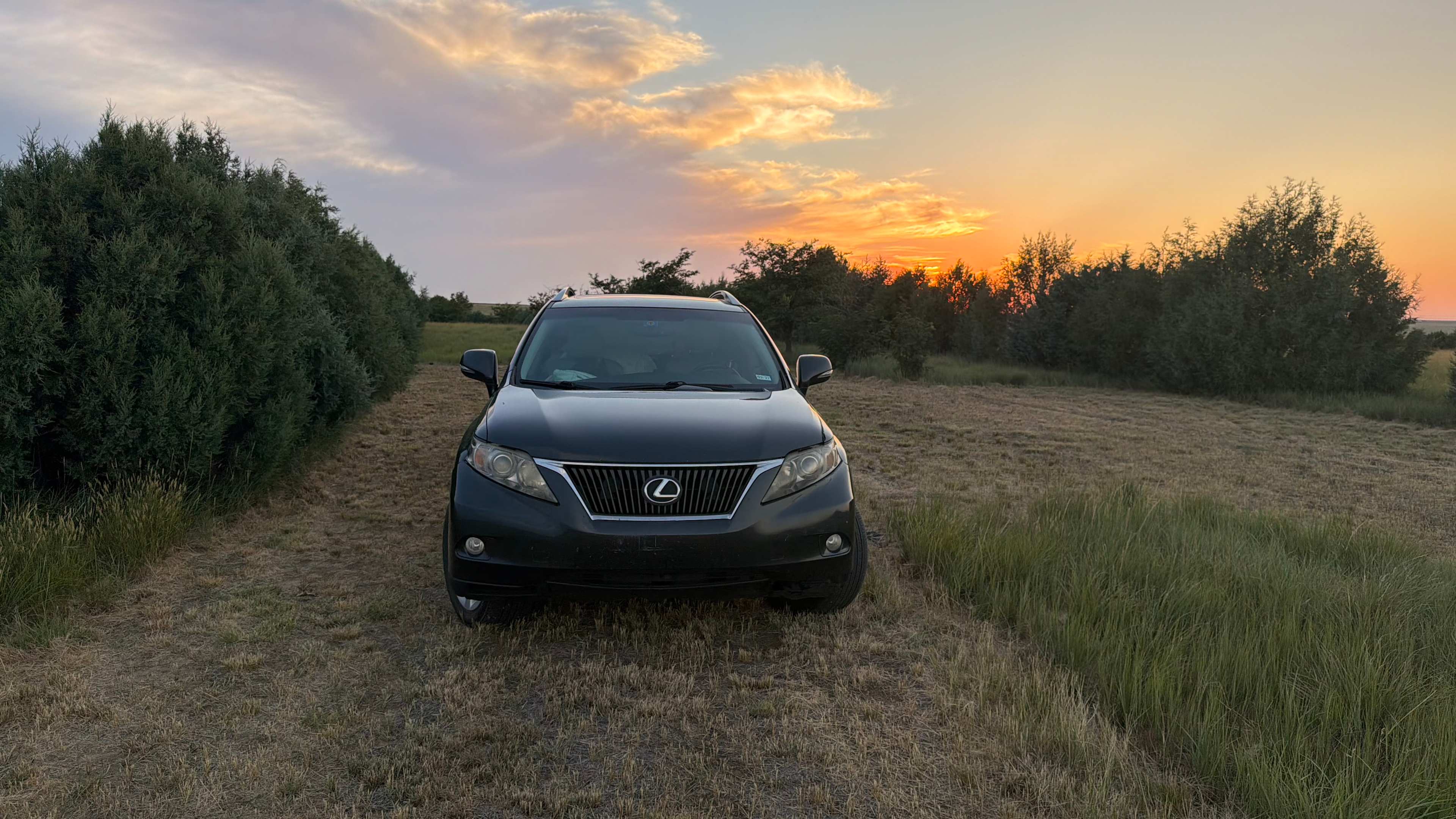 SUV set in place for the night. The host mows down the campsite to ensure you have low grass and no issues with bugs. You can see the tree breaks that isolate the three camp spots in a row from the farm and the barn/Homestead site 150 yards past the trees.