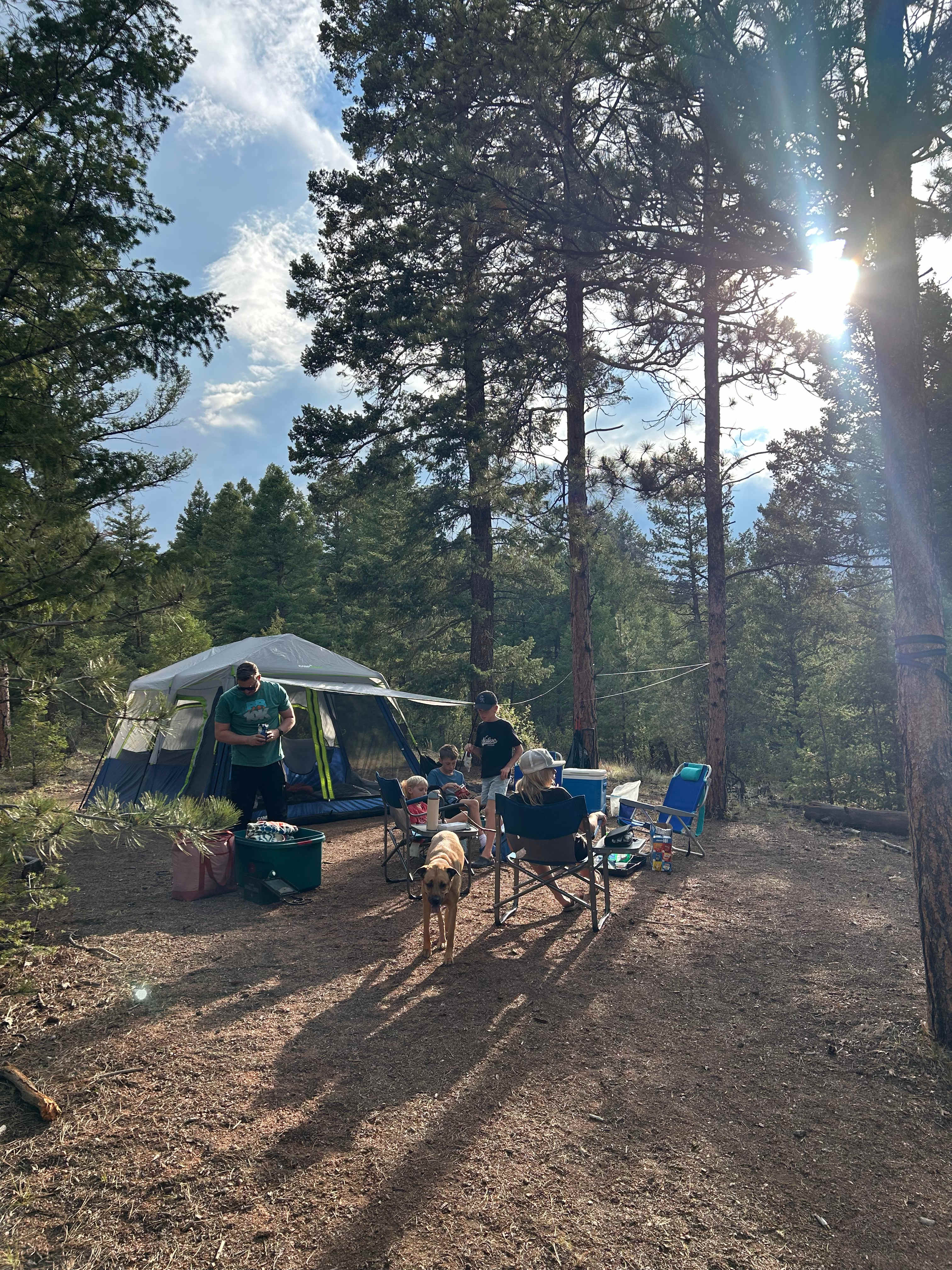 Serenity in the Foothills