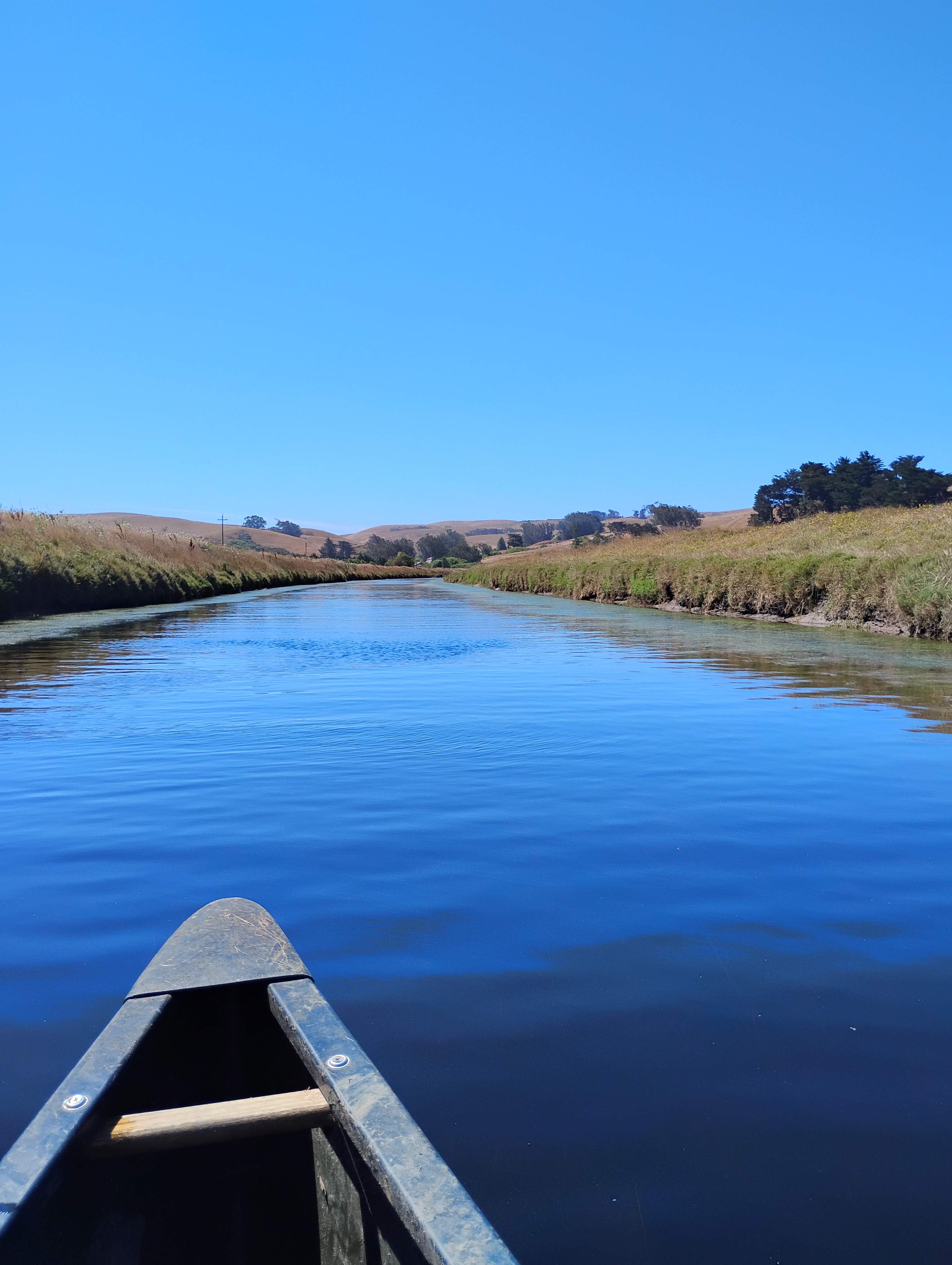 Estero San Antonio Wonderland
