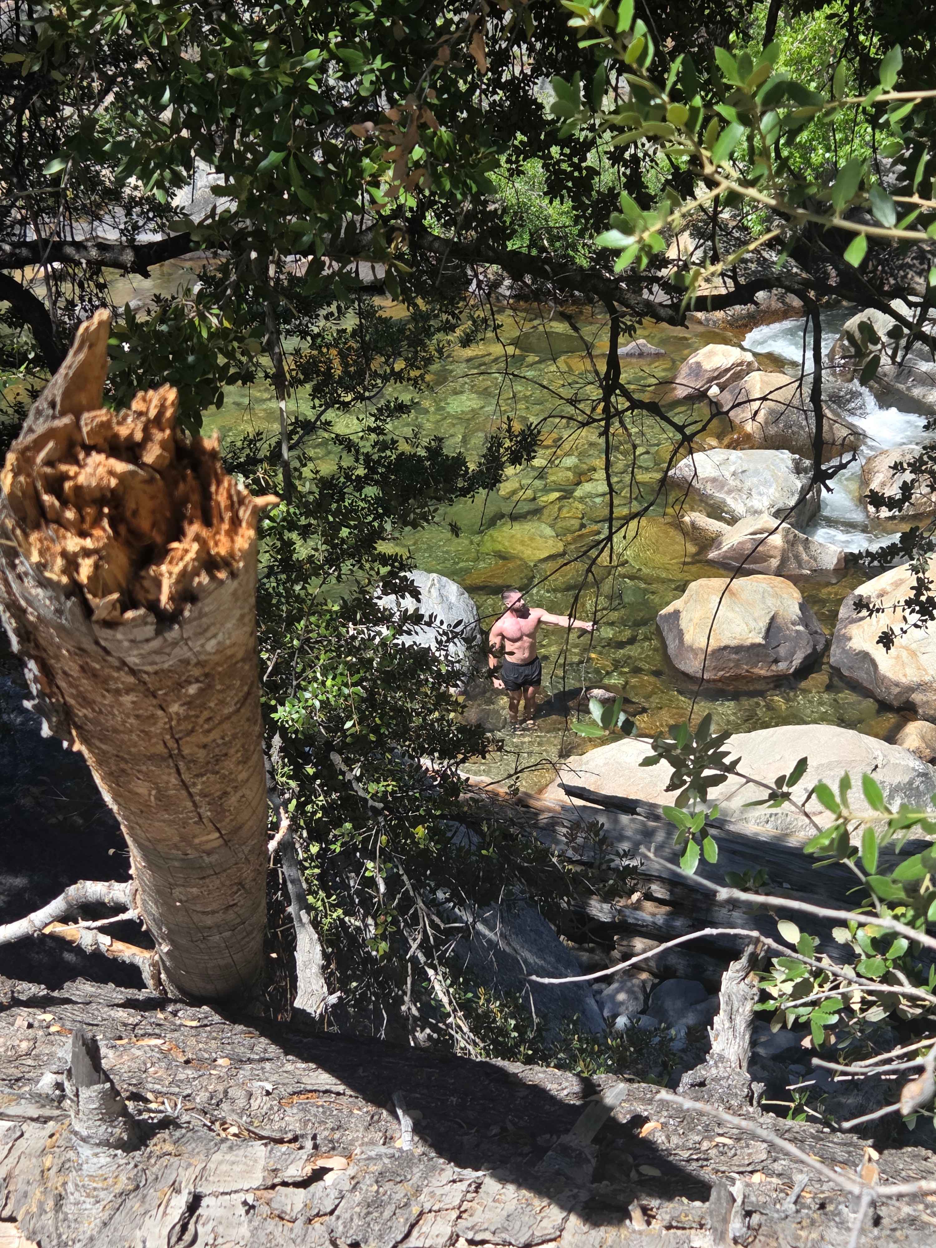 Kings Canyon Campground