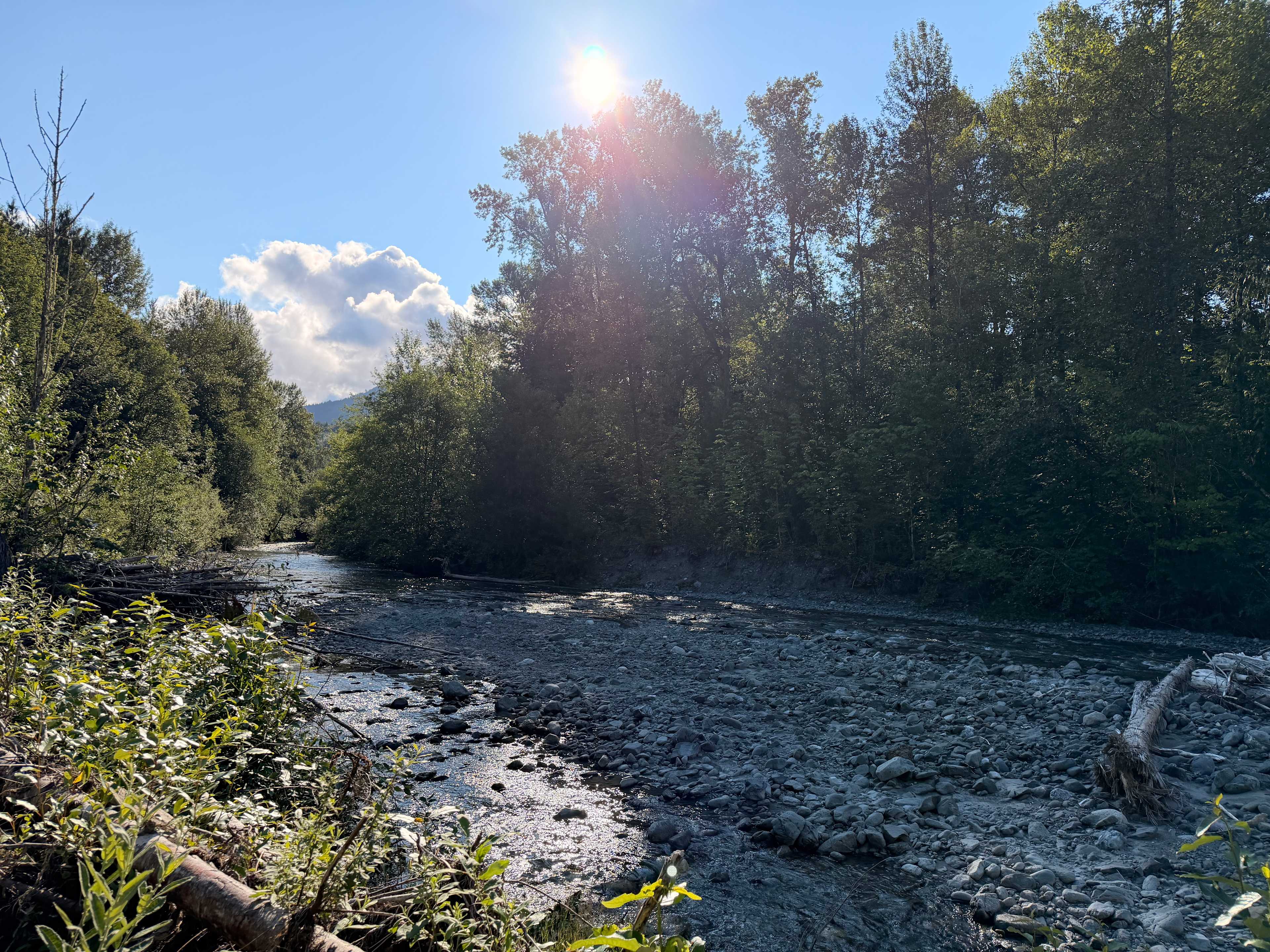 The Pathfinders Sanctuary