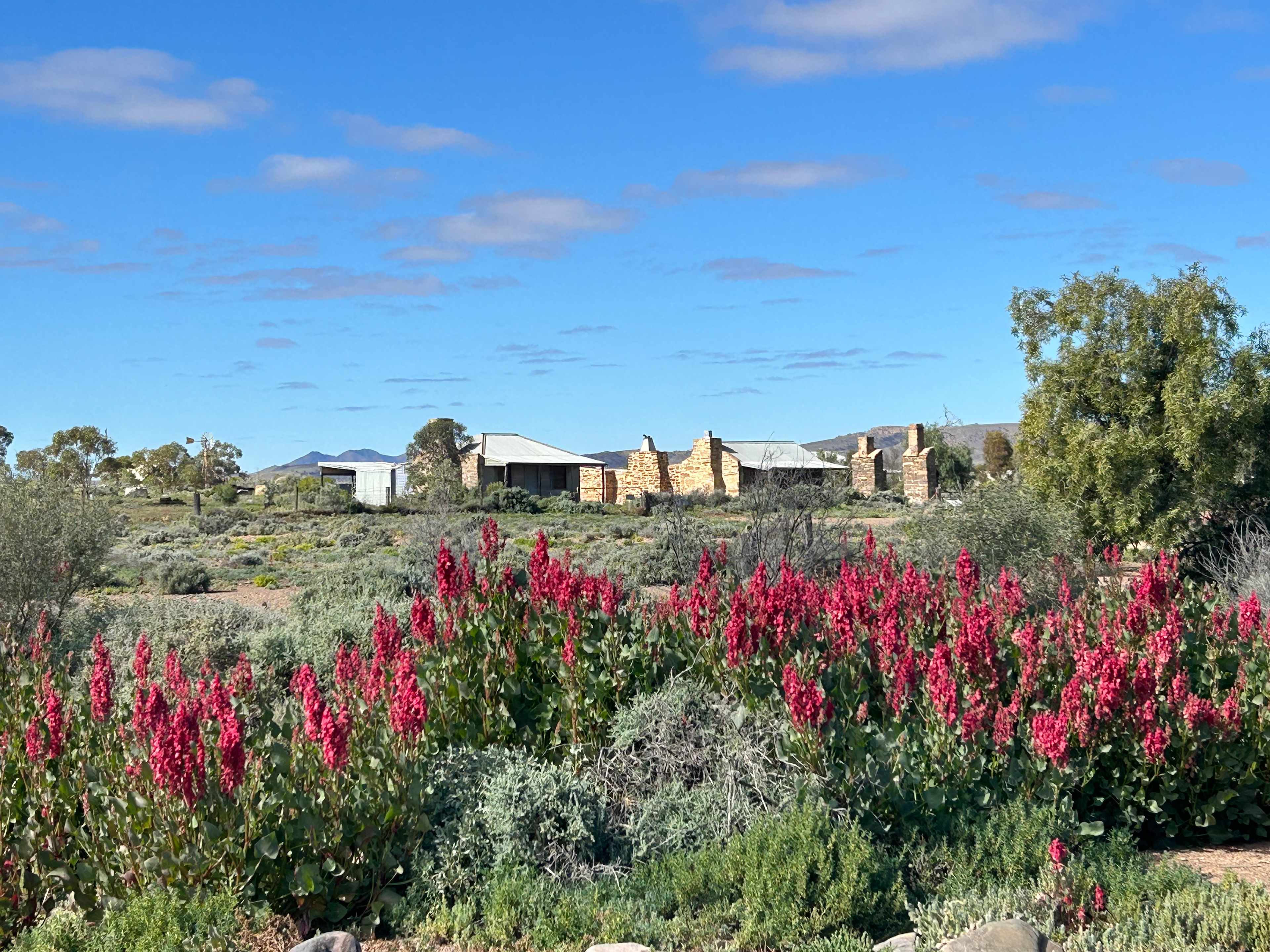 Beltana Flinders RangesTown
