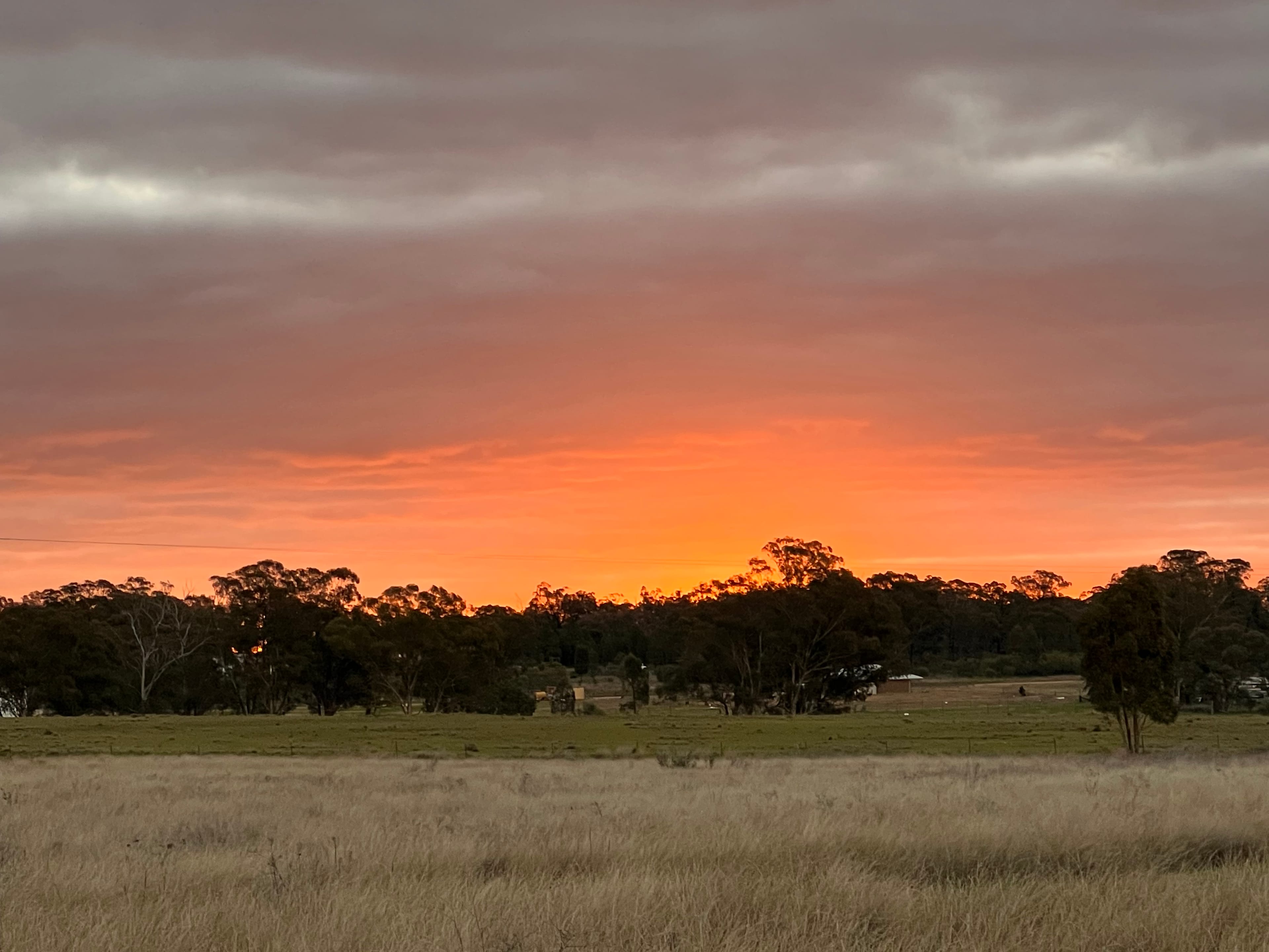 Lovely sunset