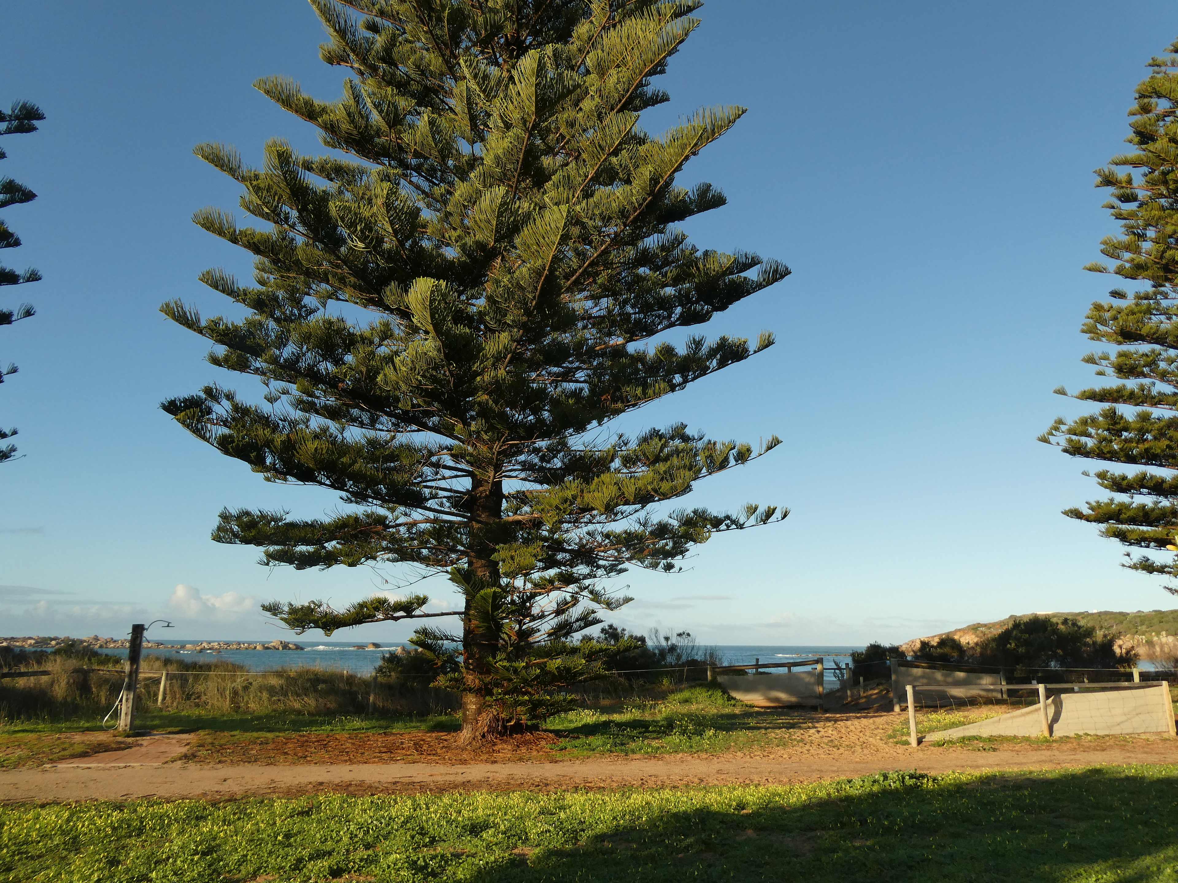 BIG4 Port Elliot Holiday Park