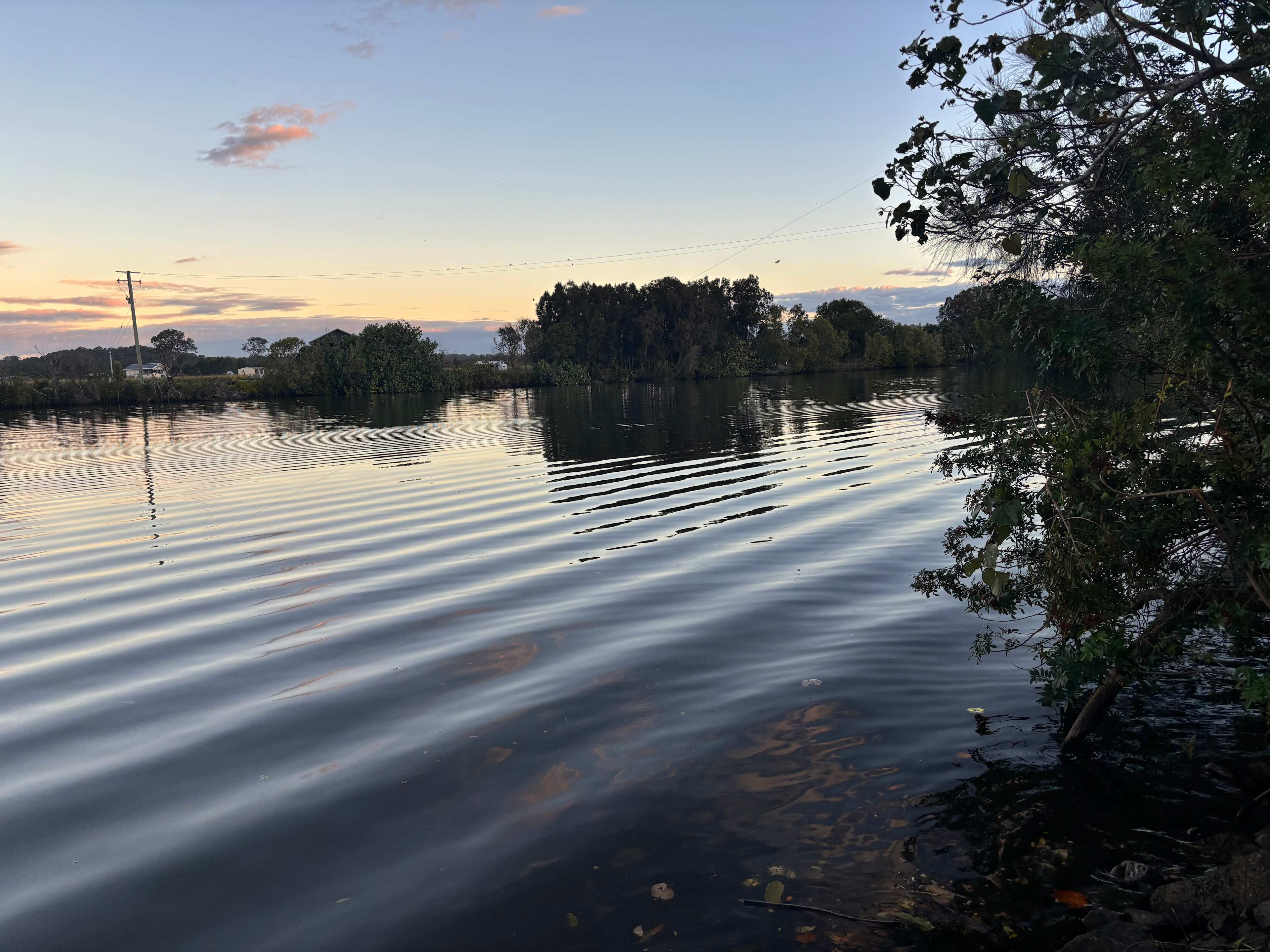 River at front - view between the trees