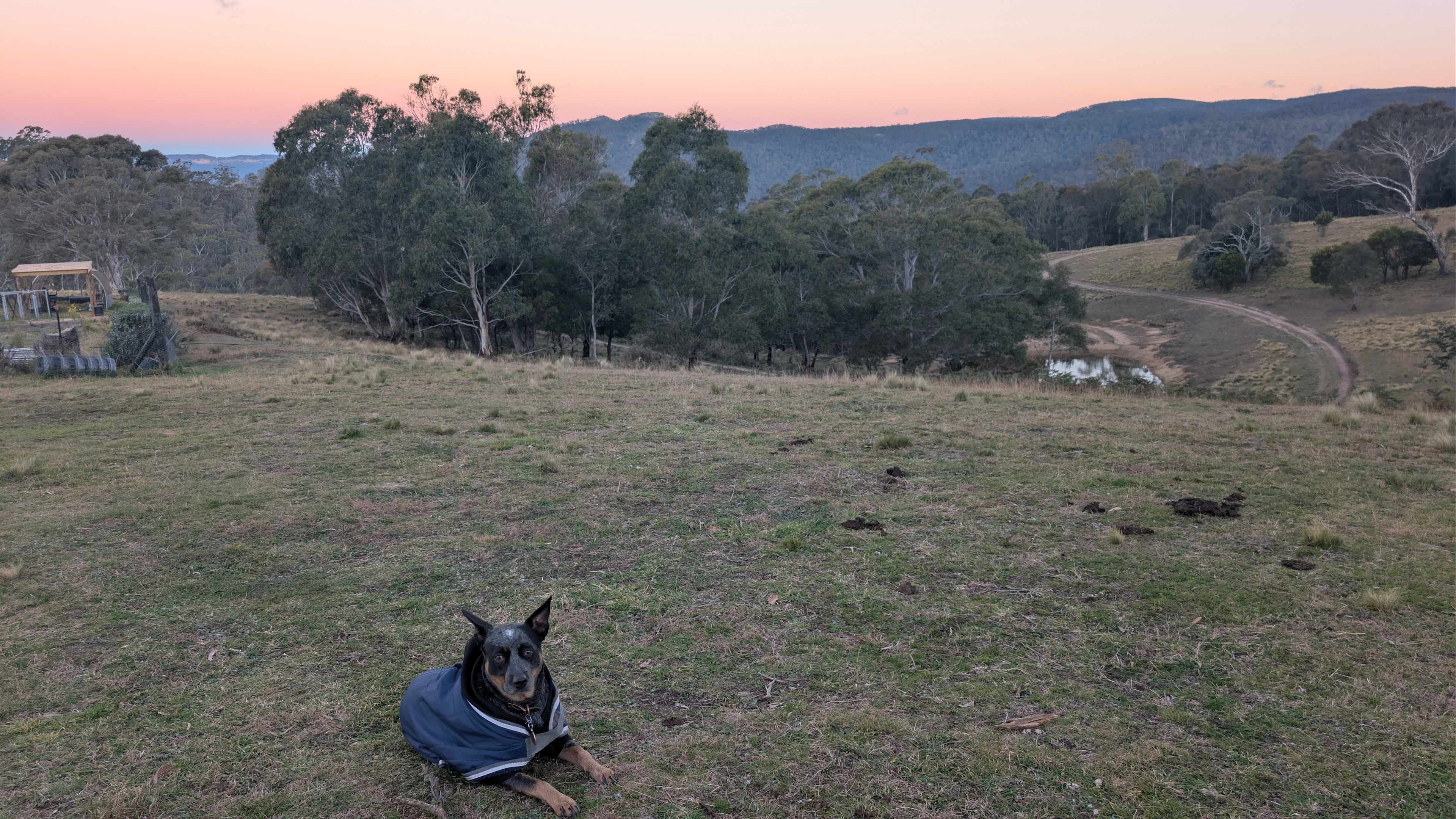 Aurora-Exclusive Blue Mountains