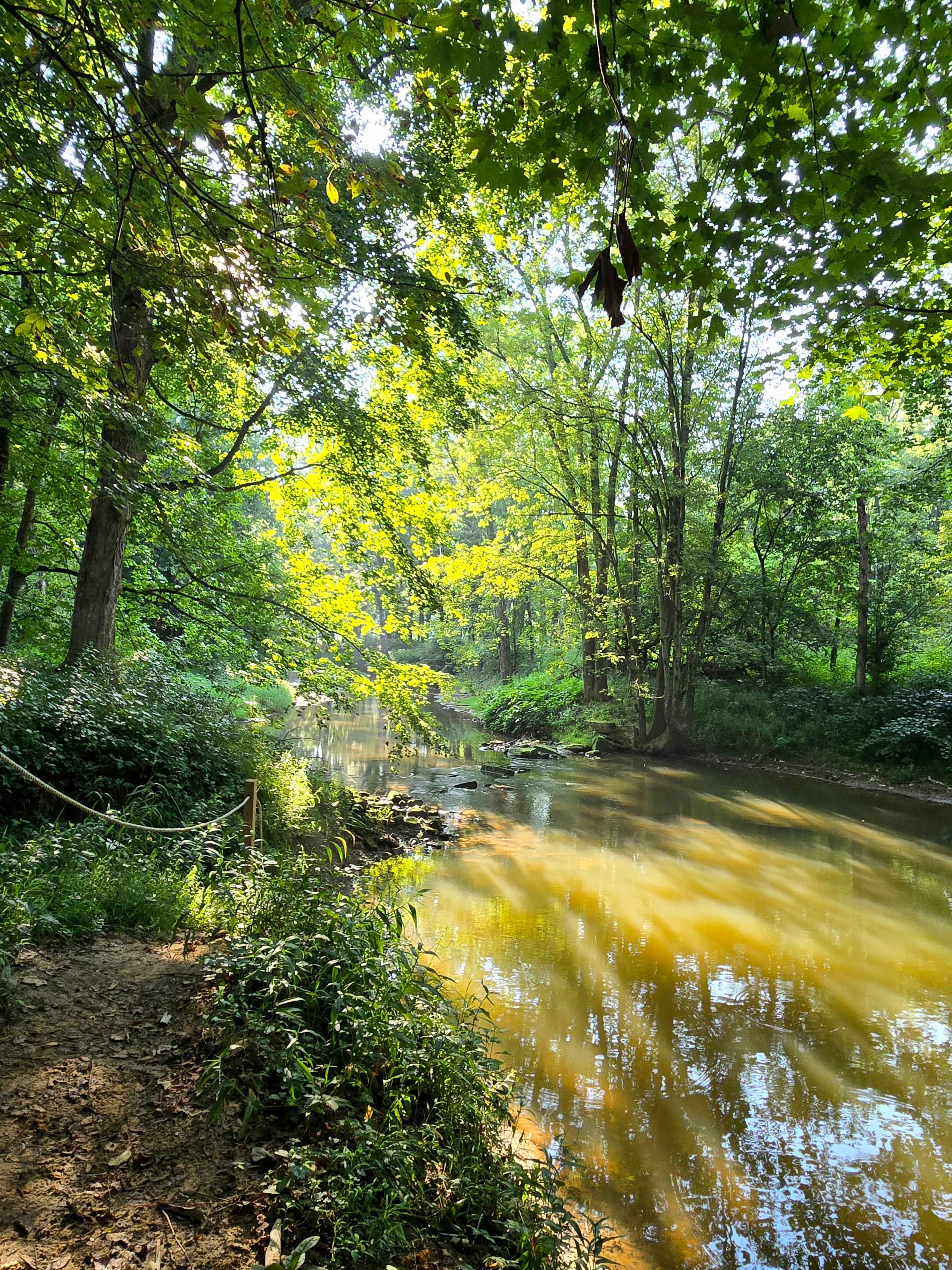 Bluebird Hollow